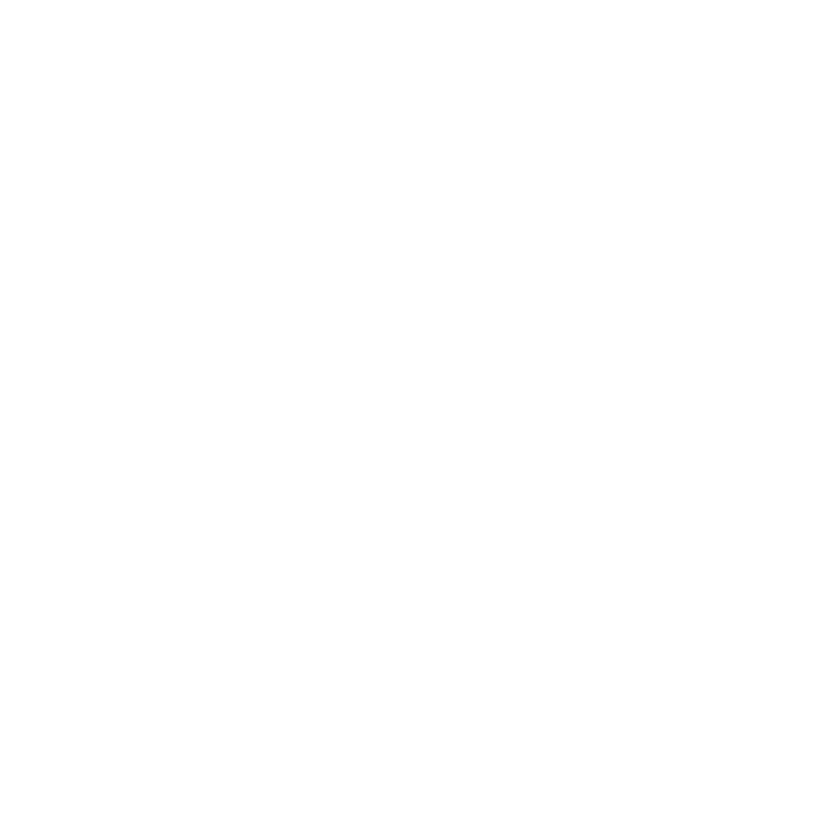 The Spider's Web