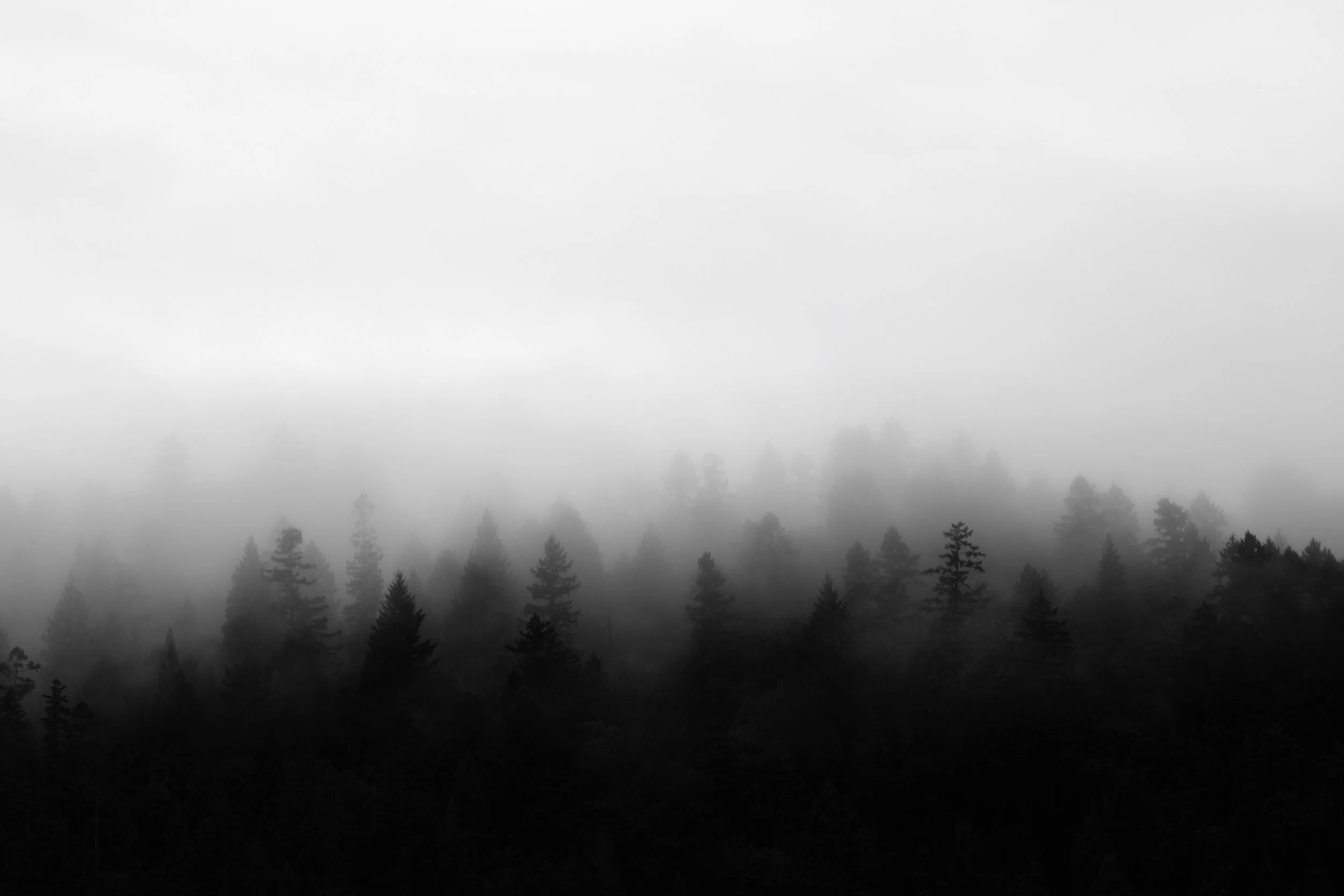 Redwood - PARTS (PDF)
