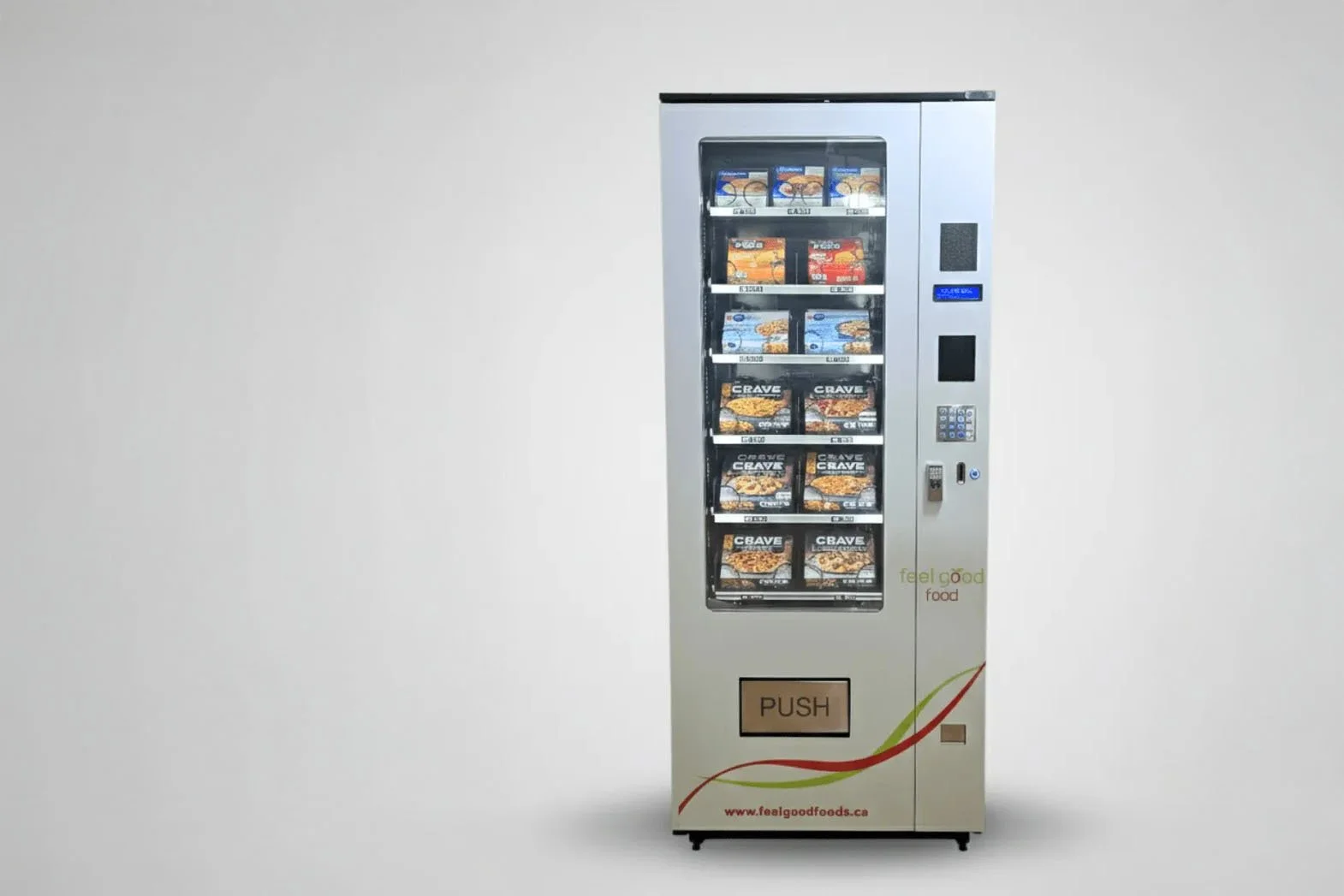 FGS3F Frozen Food &amp; Ice Cream Machine