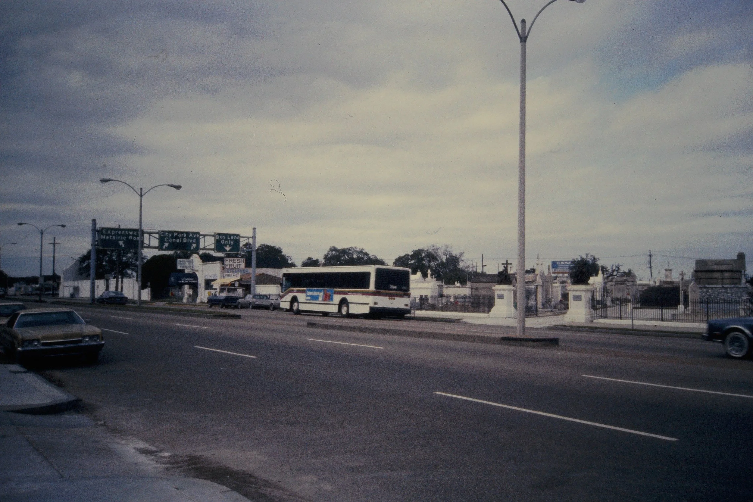 5. Transportation.jpeg