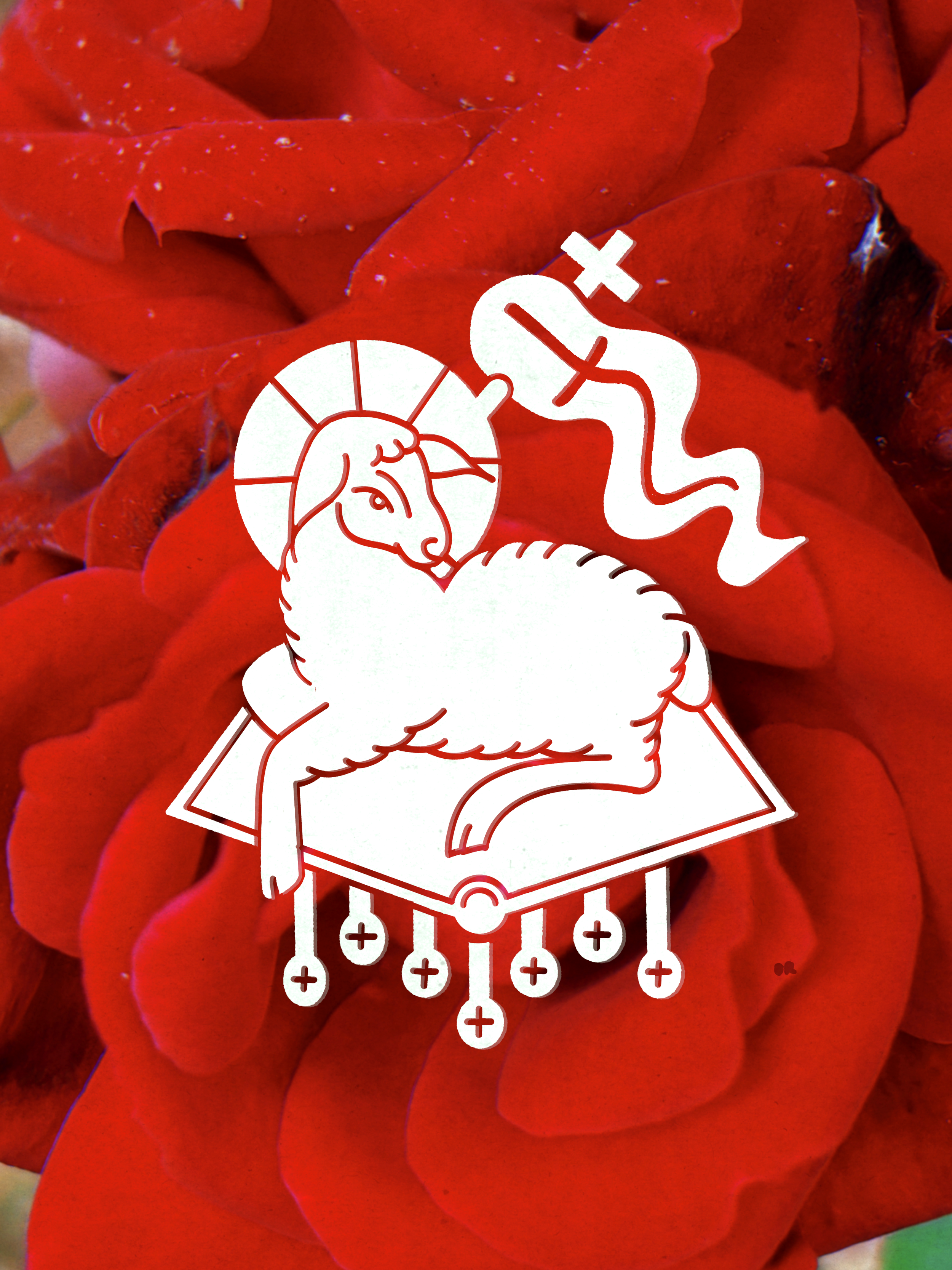 IMG_3151.png