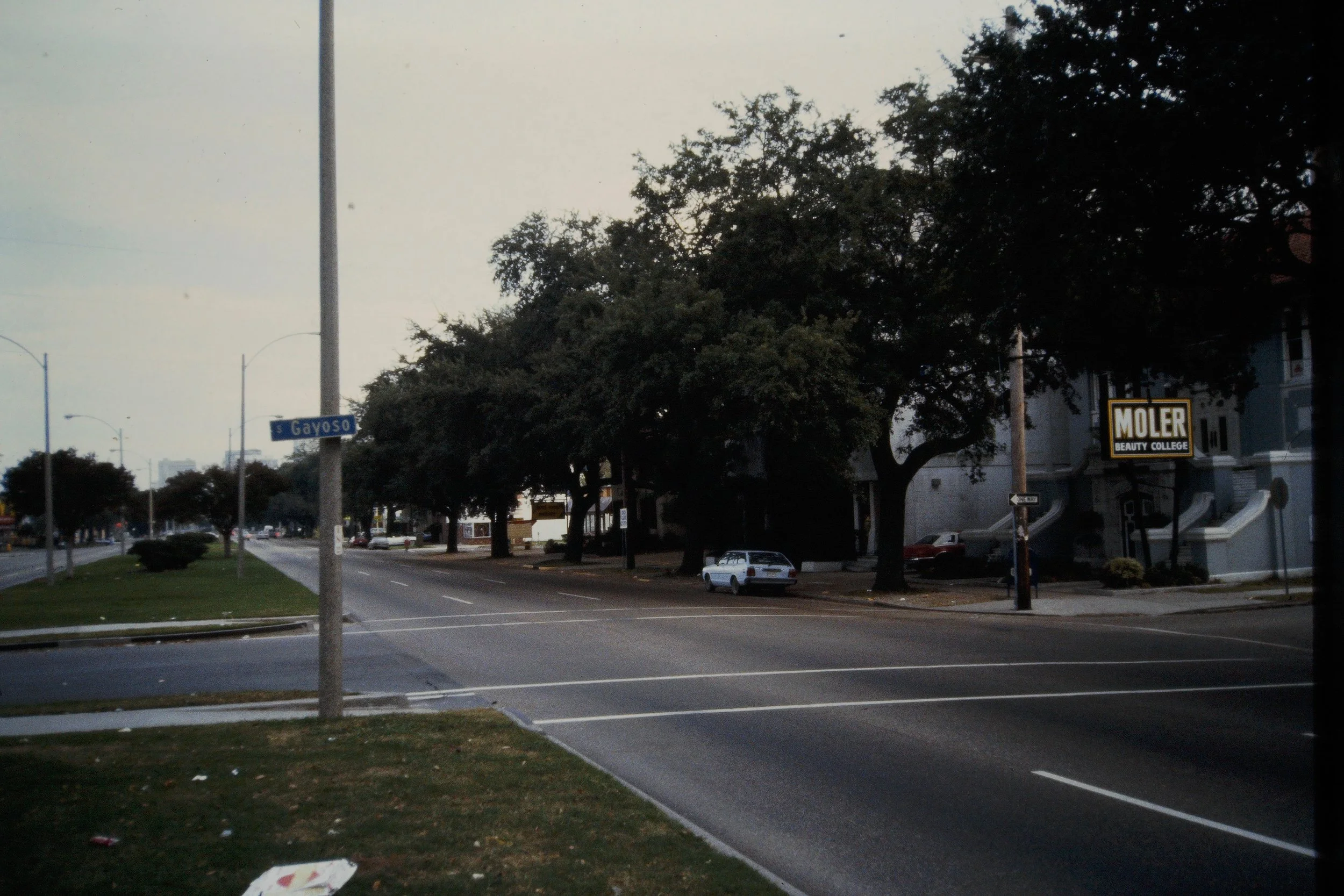 16. MCIA - Save oaks.jpeg