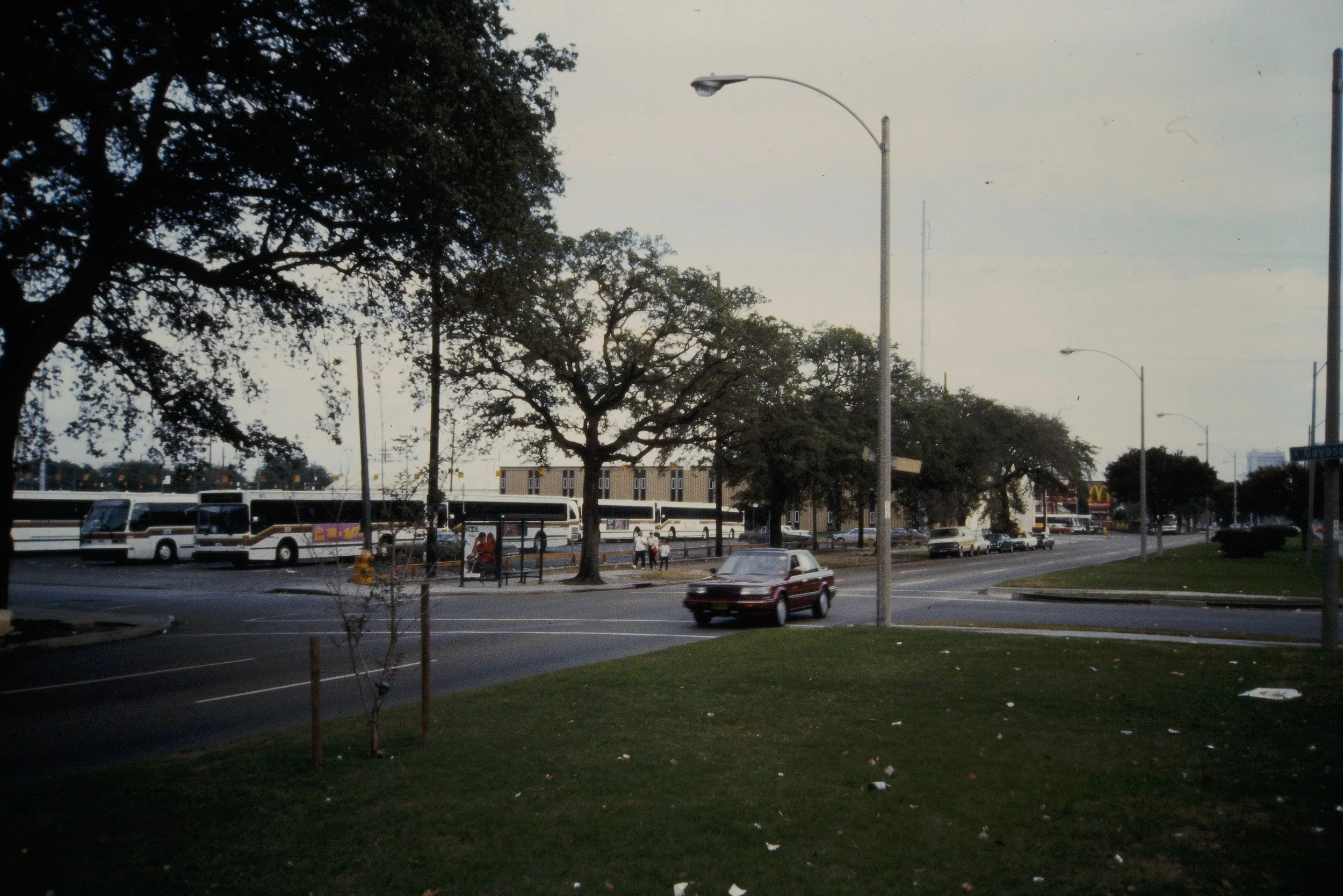 18. M-CIA - Save Oaks Dying.jpeg