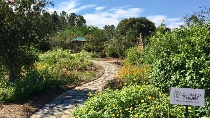 Florida: The Land of Flowers