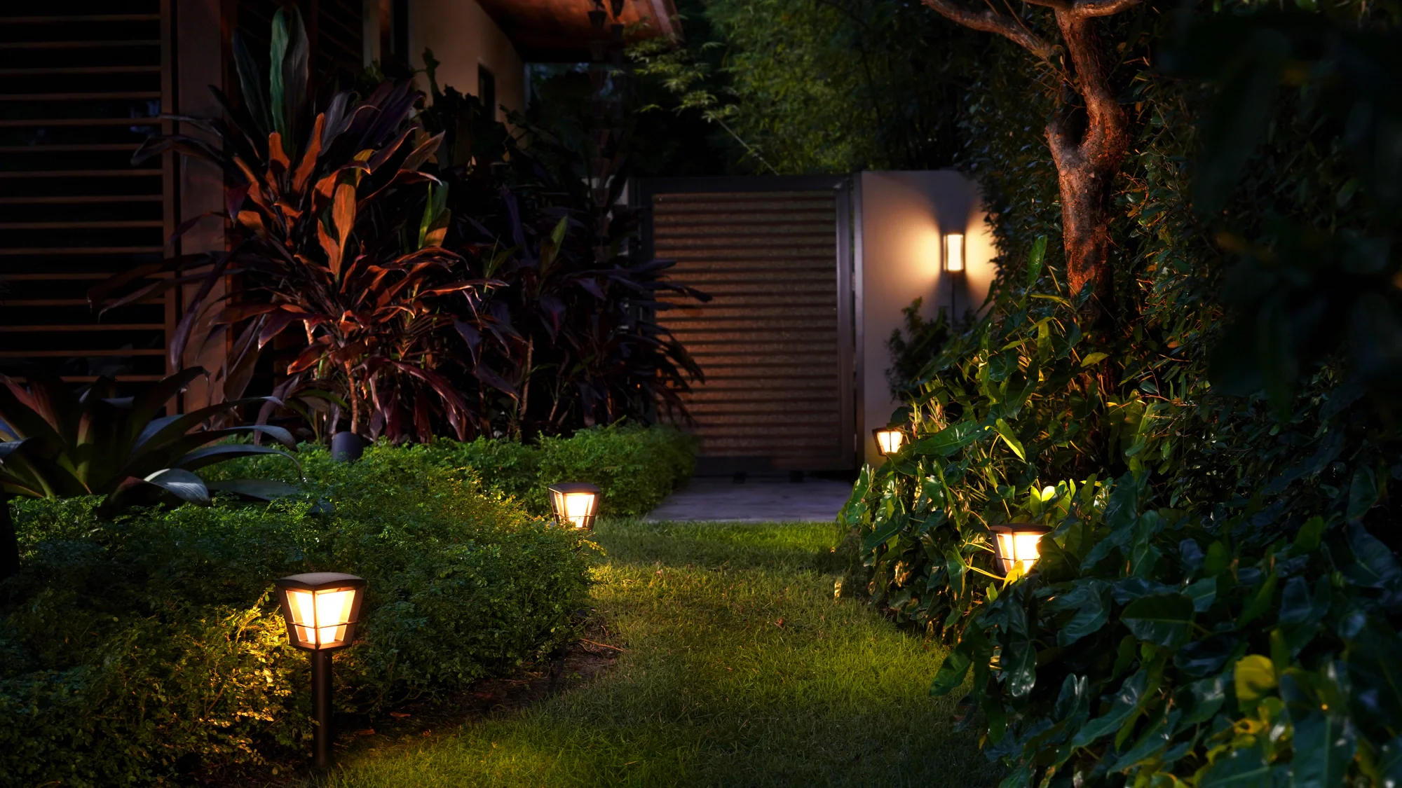 Landscaping lighting in St. Petersburg, Florida.