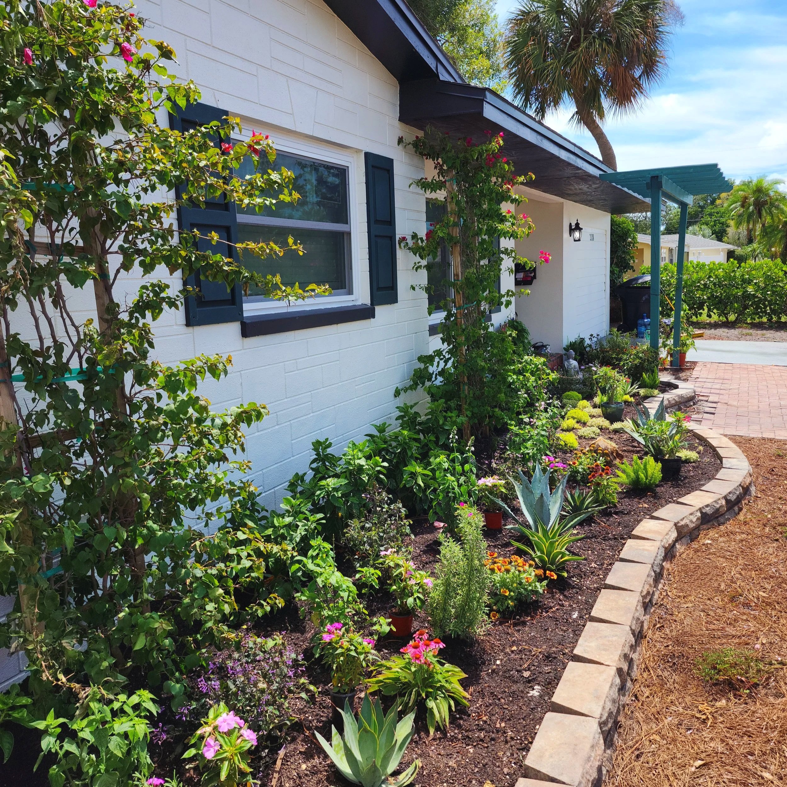 Land of Love Landscaping | Florida native landscape design and installation using Florida native wildflowers.