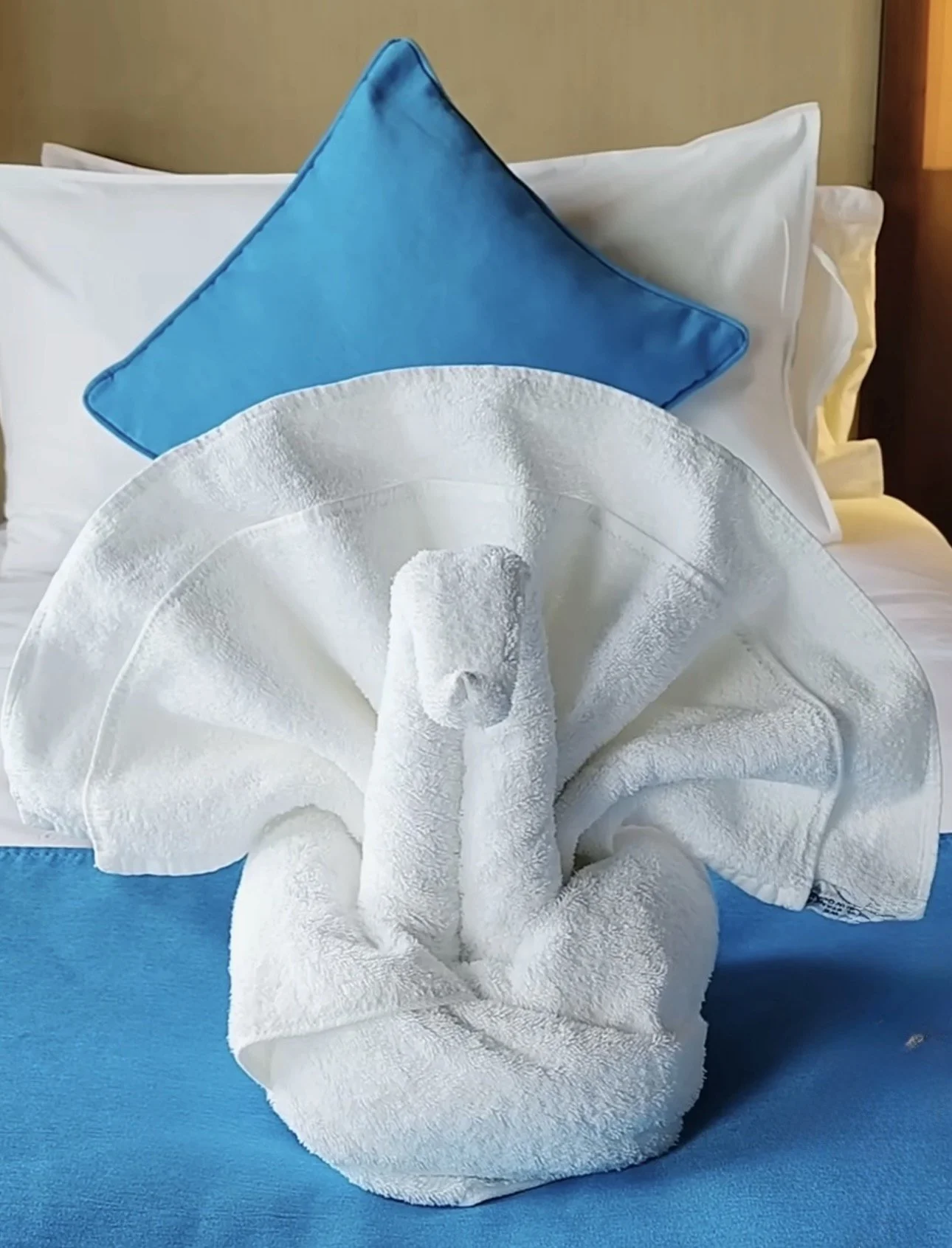 Decorative Designs for Special Occasions