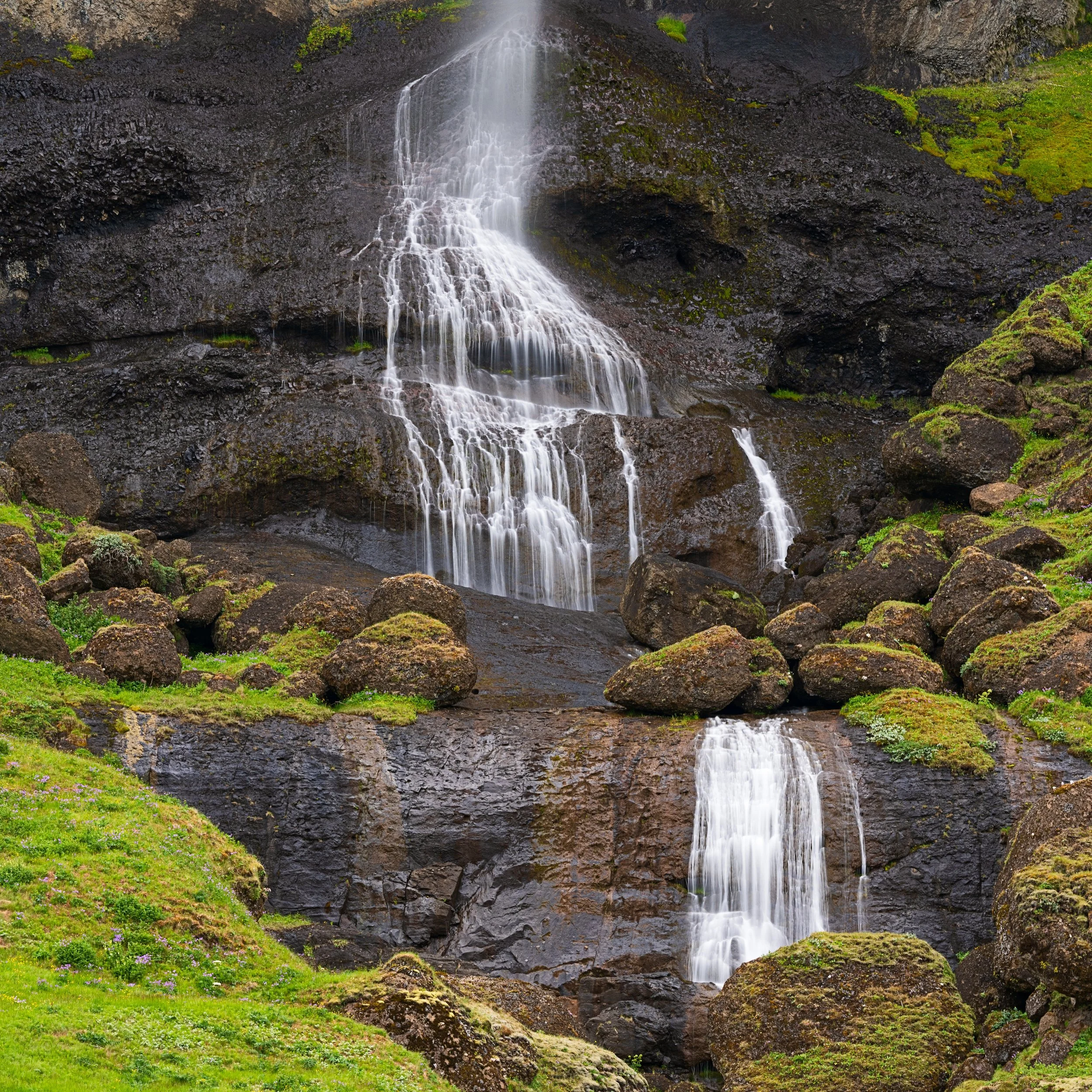 _DSC0262__.jpg
