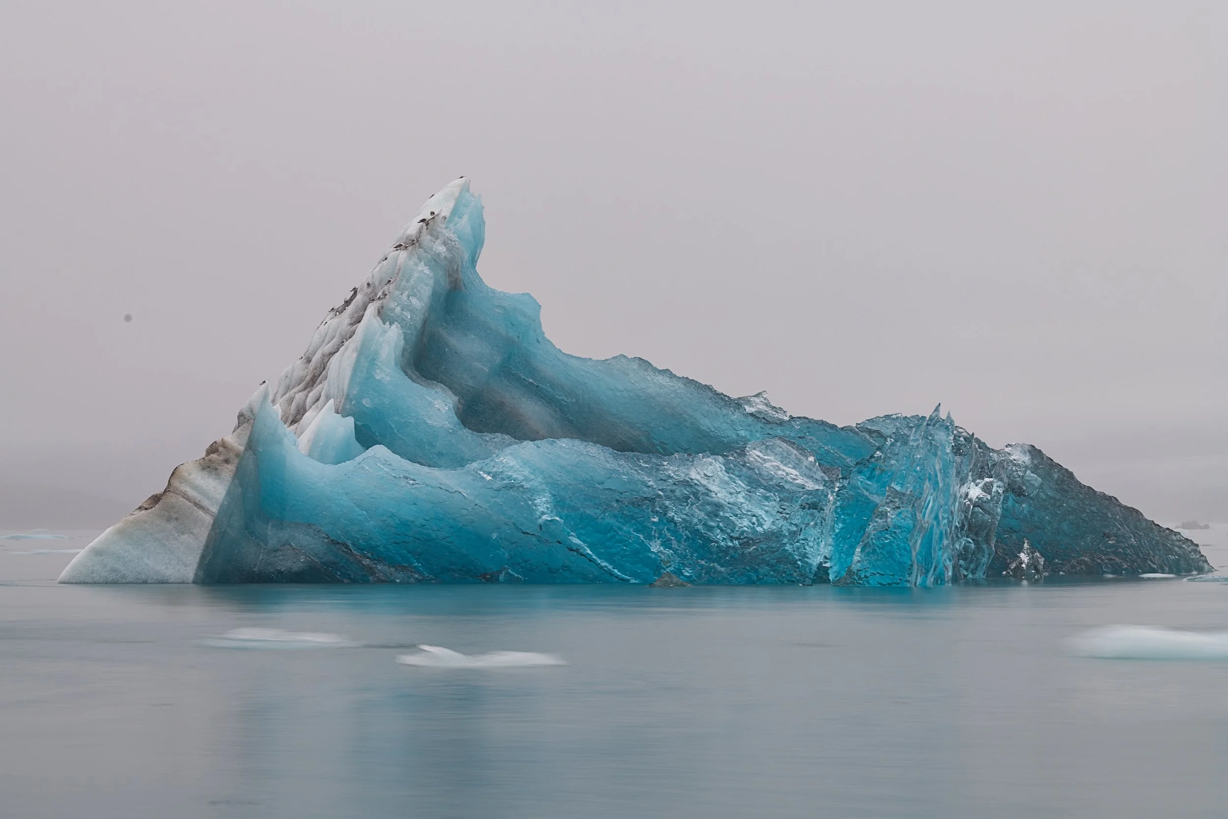 _DSC0362-1_.jpg