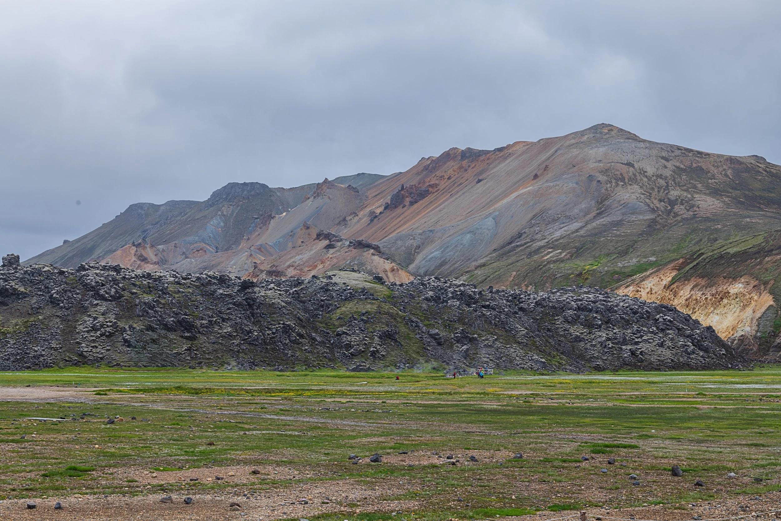 _DSC0820-1_.jpg