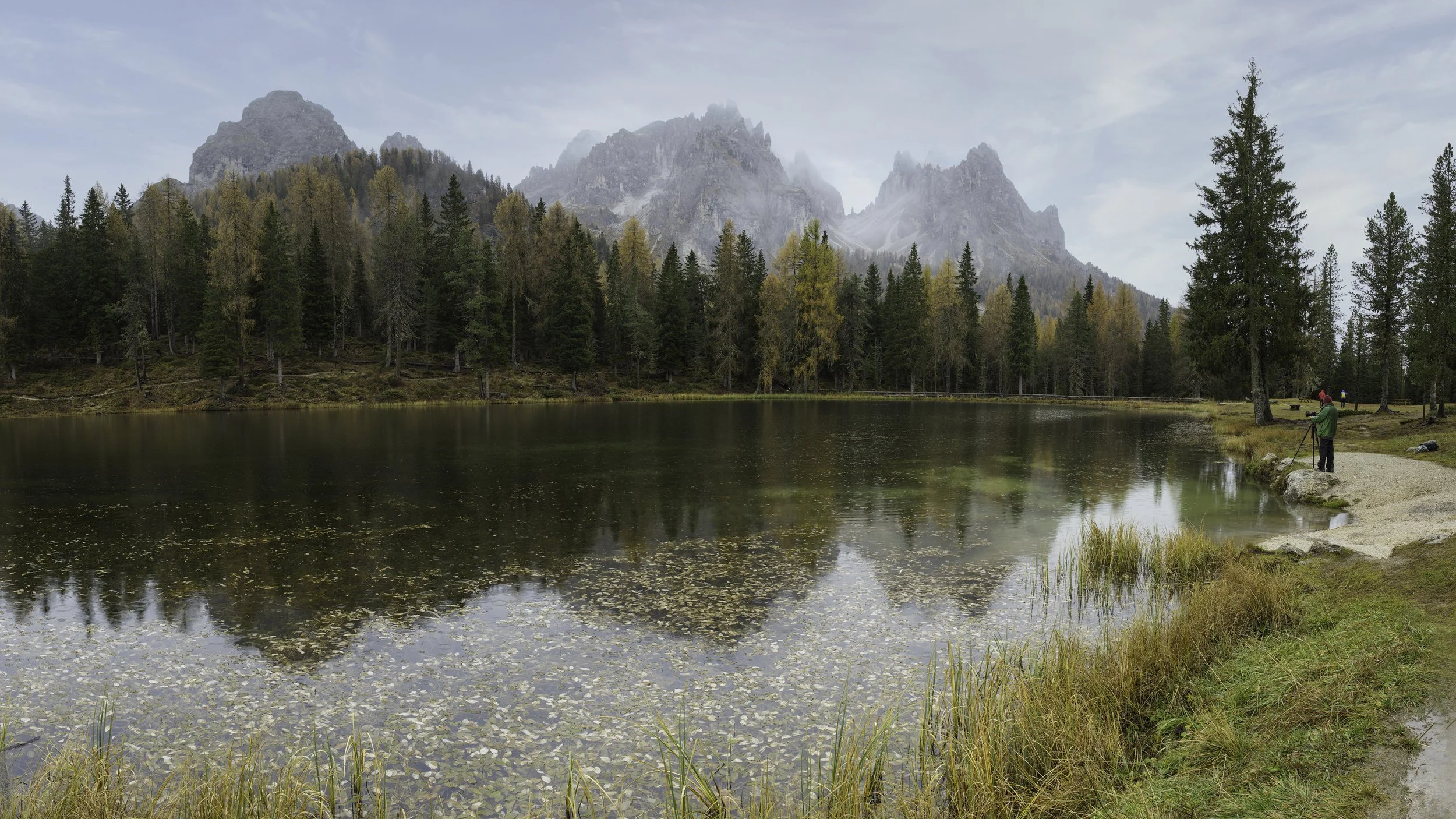 _ASP1164 Panorama.jpg