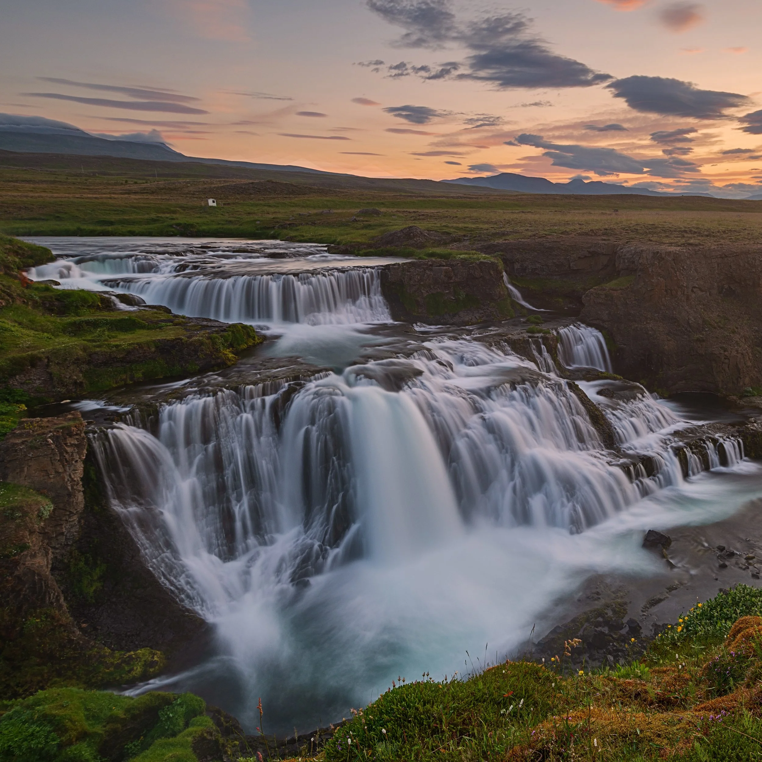 _DSC1397-1____.jpg
