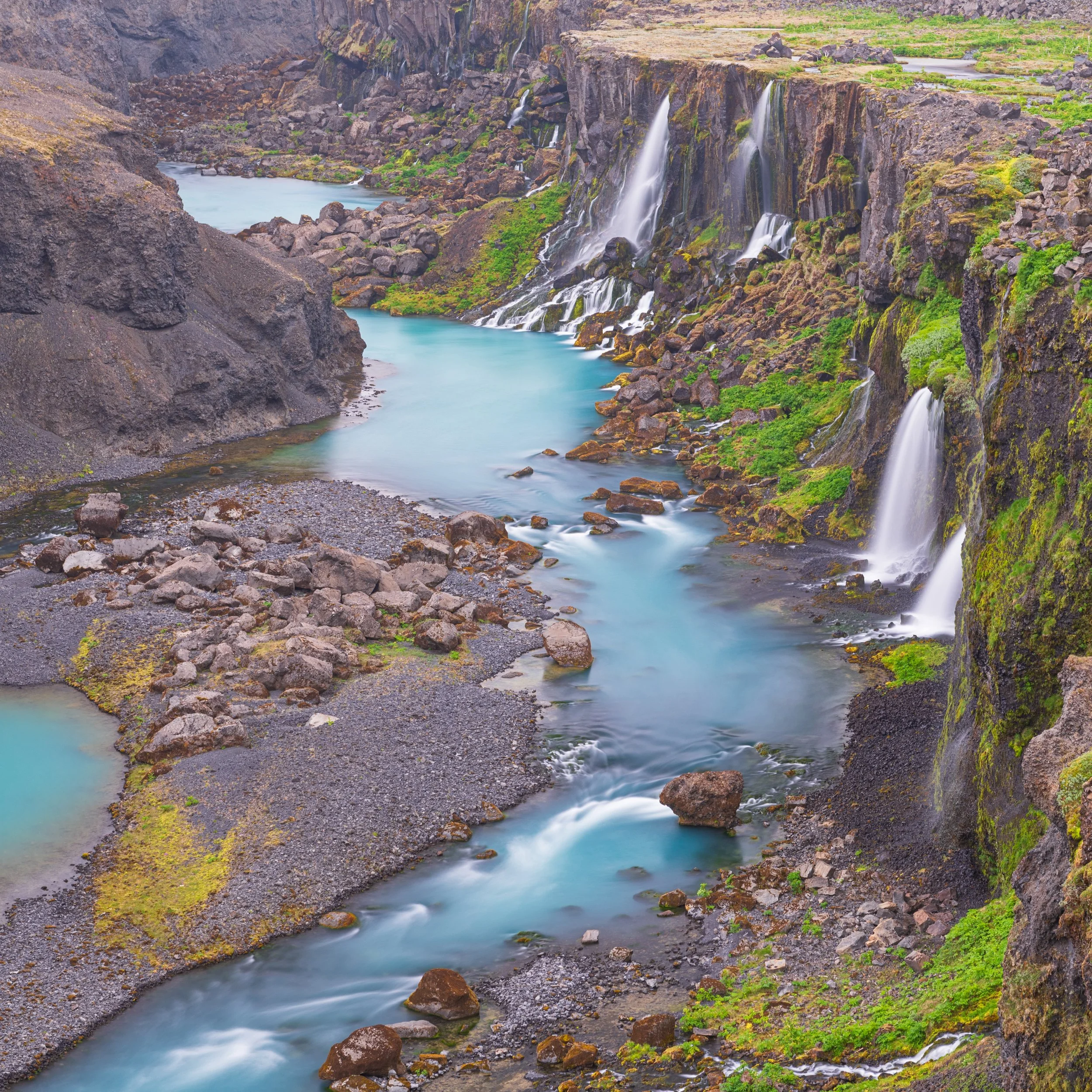 _DSC0971-1___.jpg