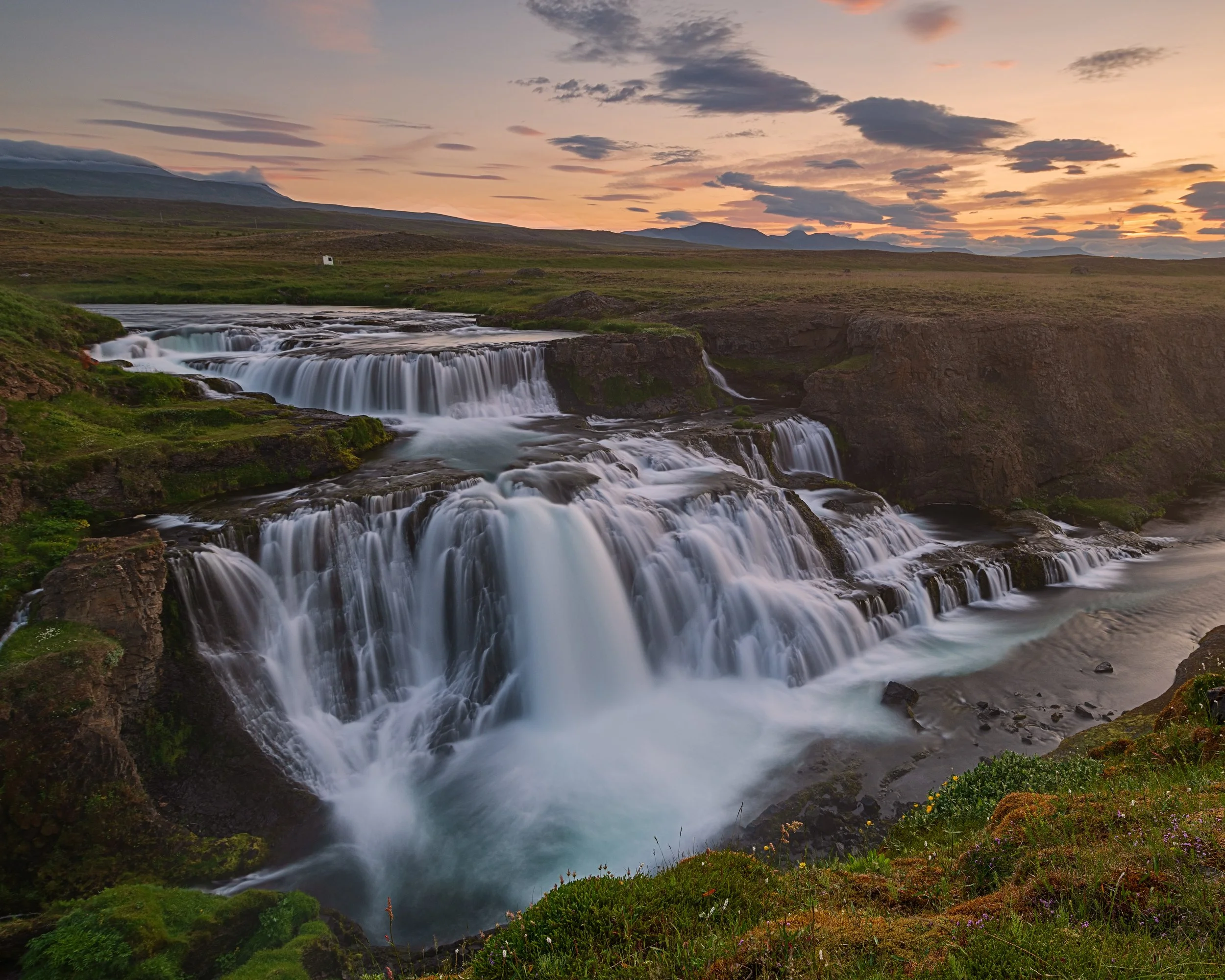 _DSC1397-1___.jpg