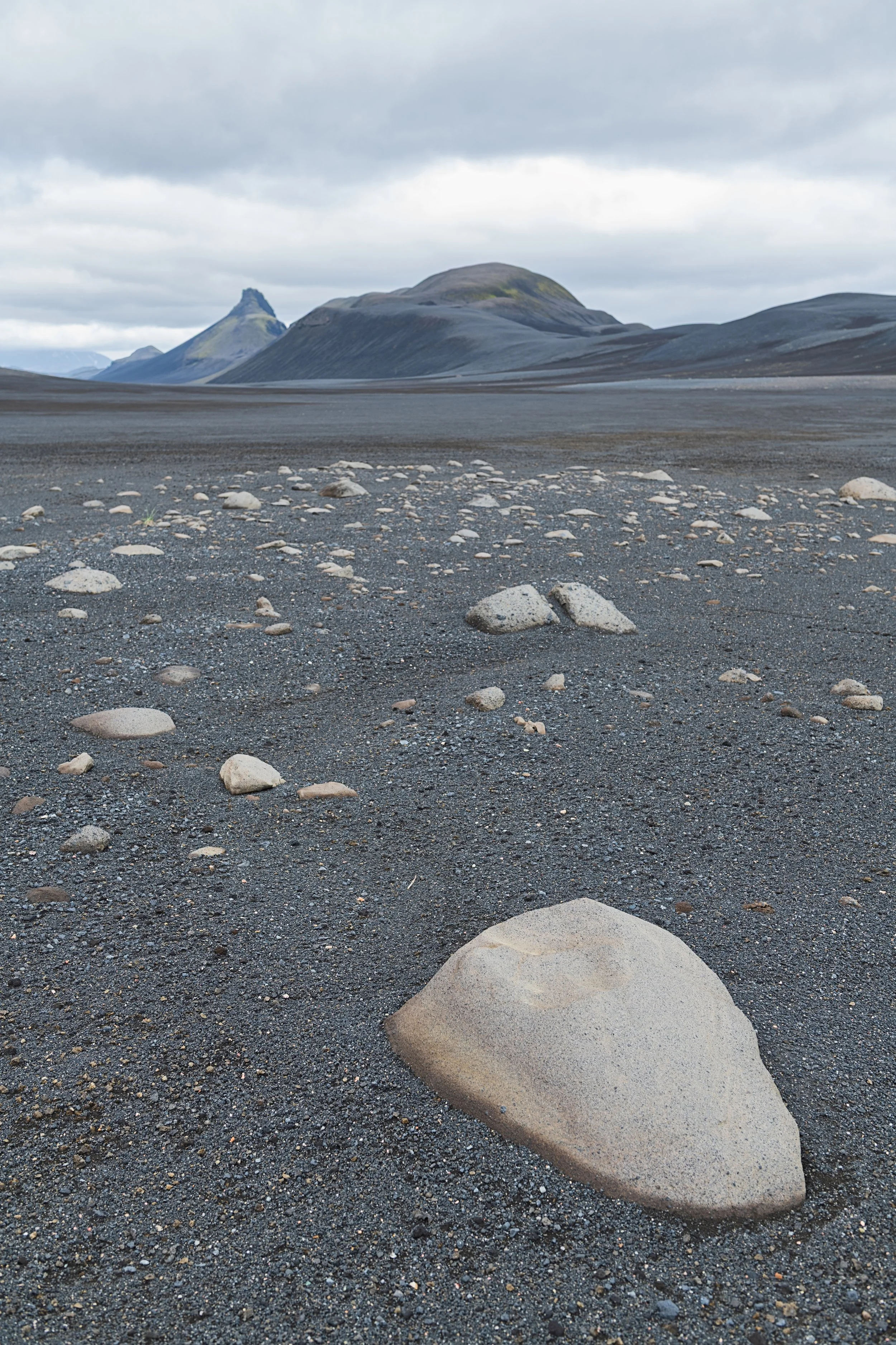 _DSC0889-1_.jpg
