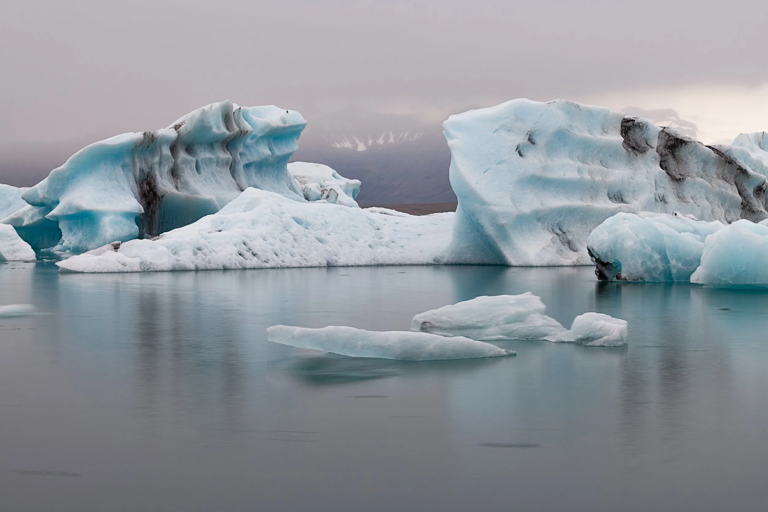 _DSC0354-1_.jpg