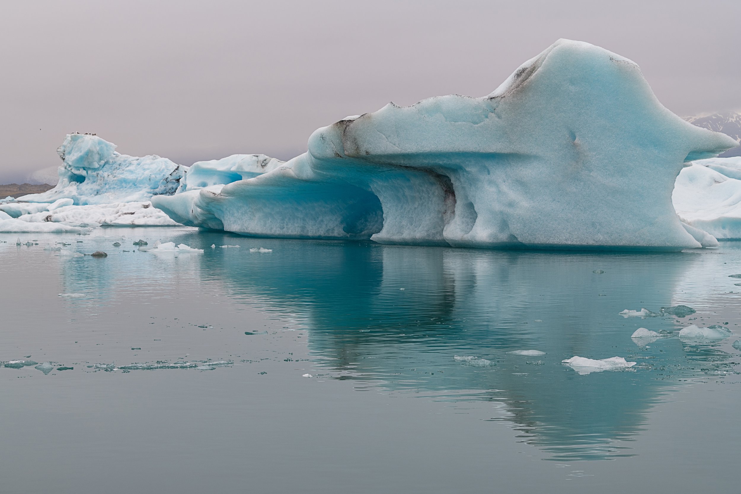 _DSC0349-1_.jpg