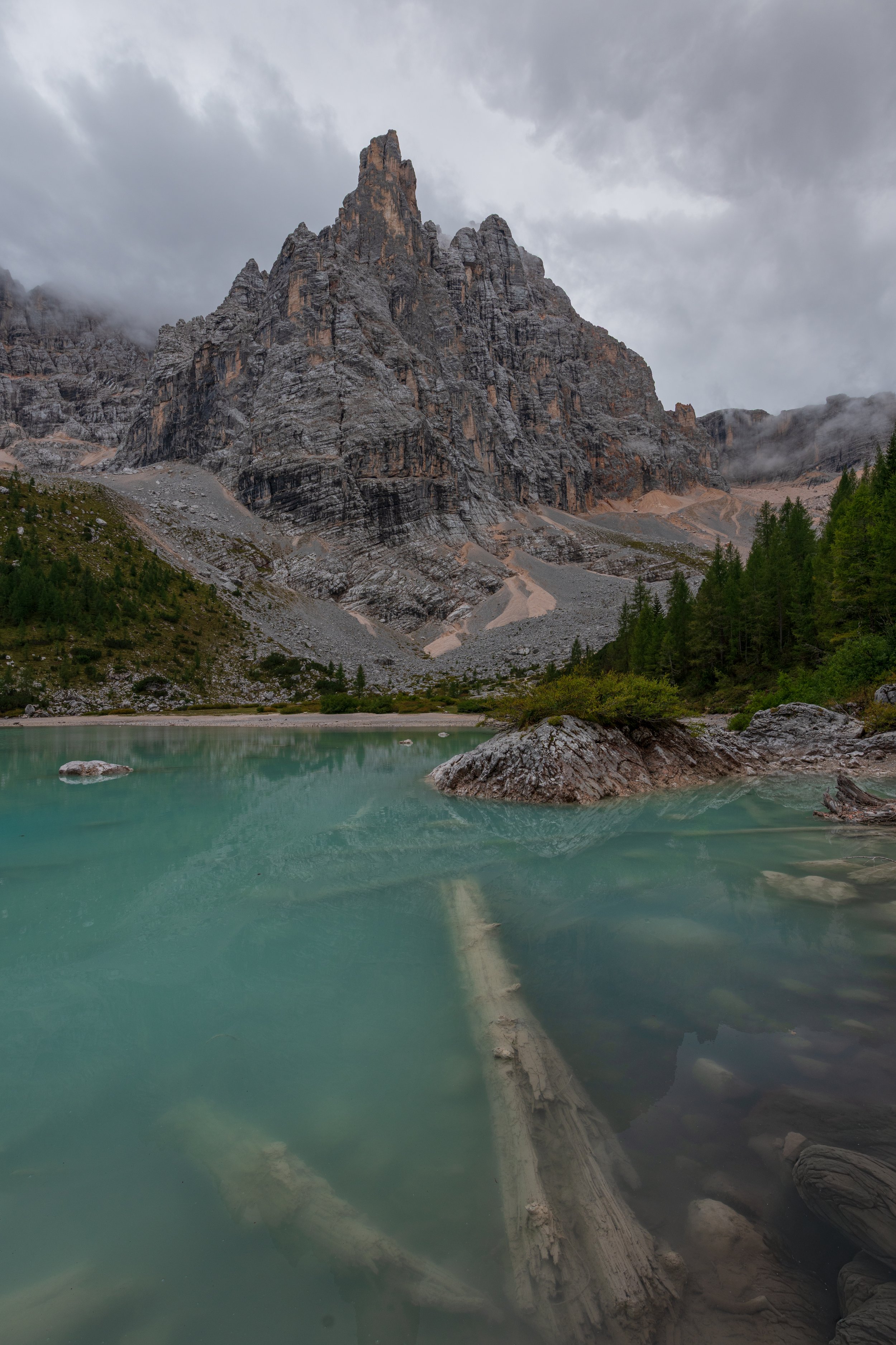 _DSC3612_.jpg