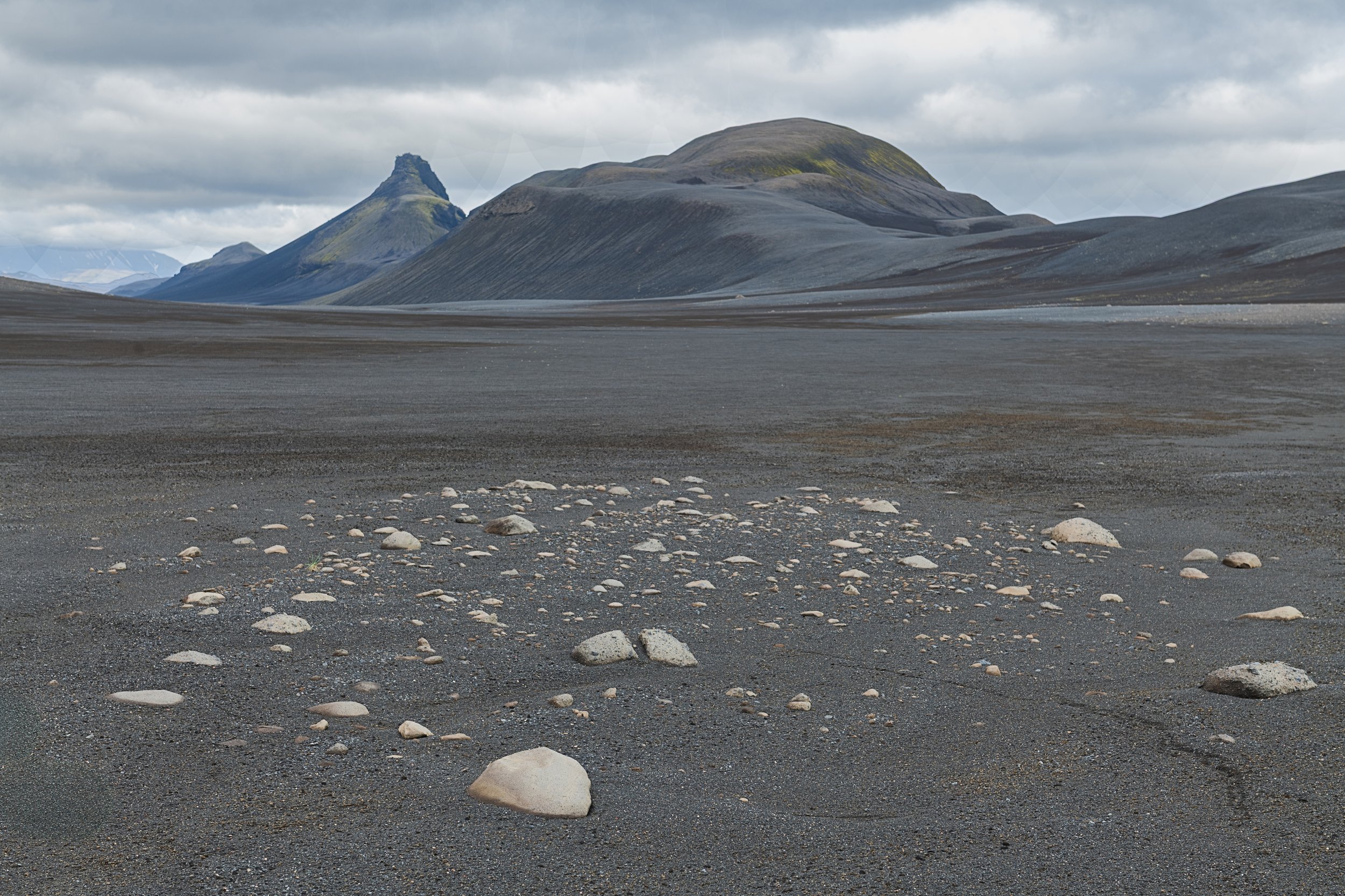 _DSC0884-1_.jpg