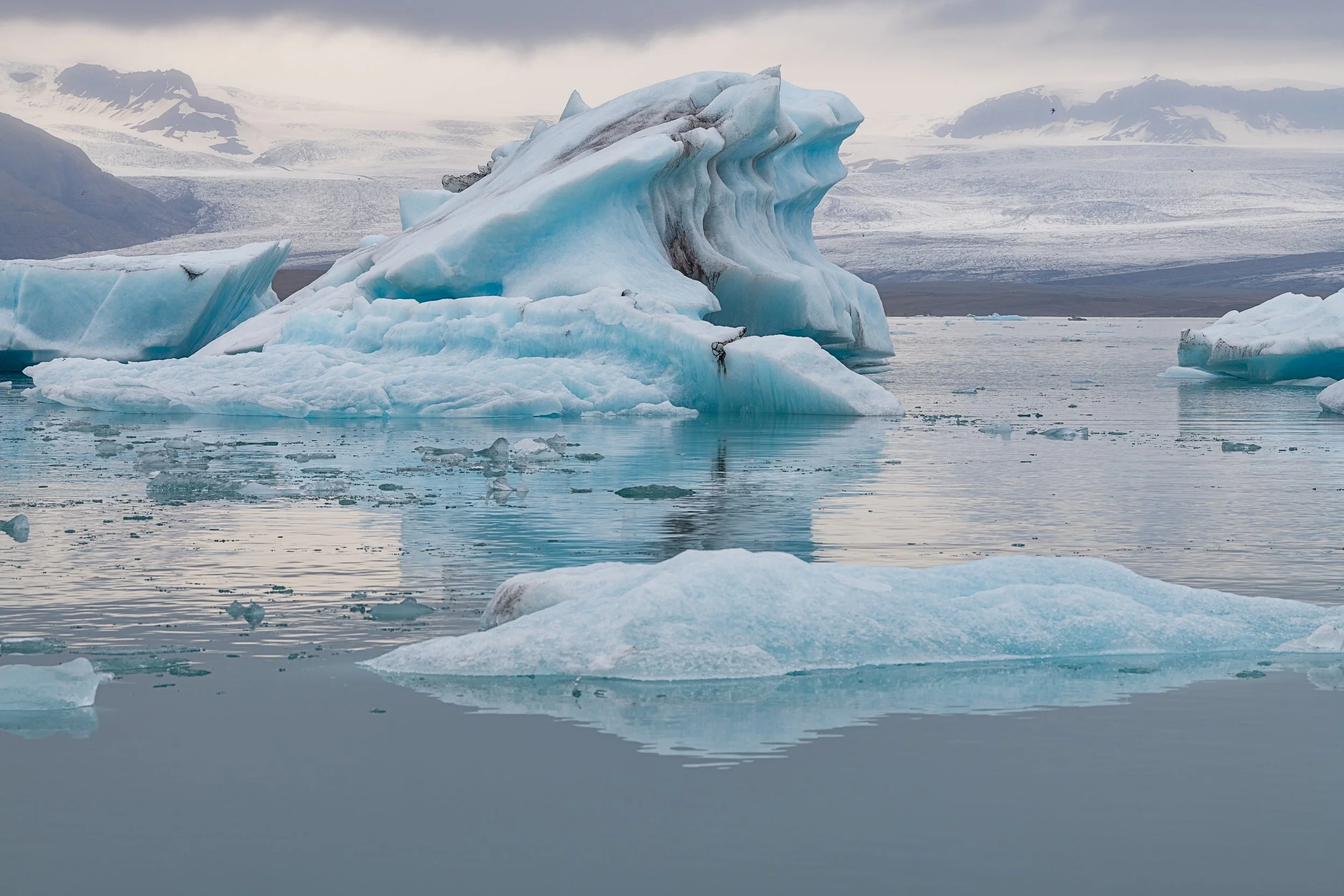 _DSC0350-1_.jpg