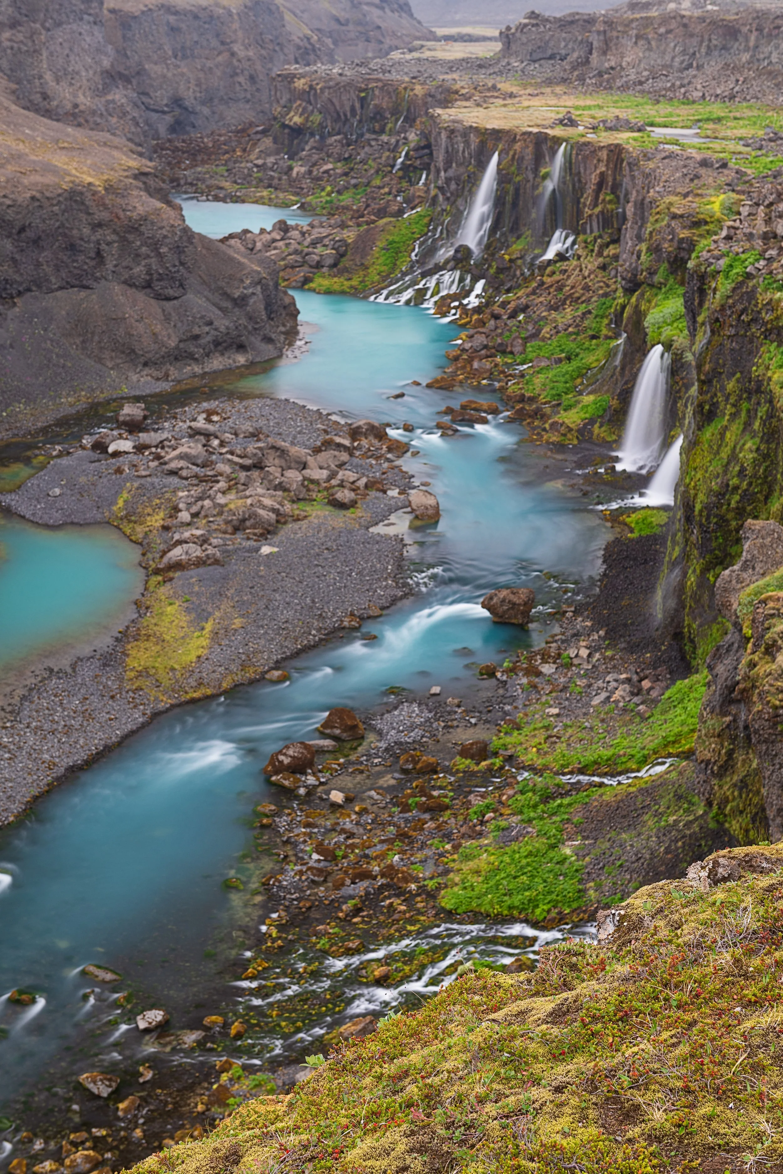 _DSC0972-1 copy_.jpg