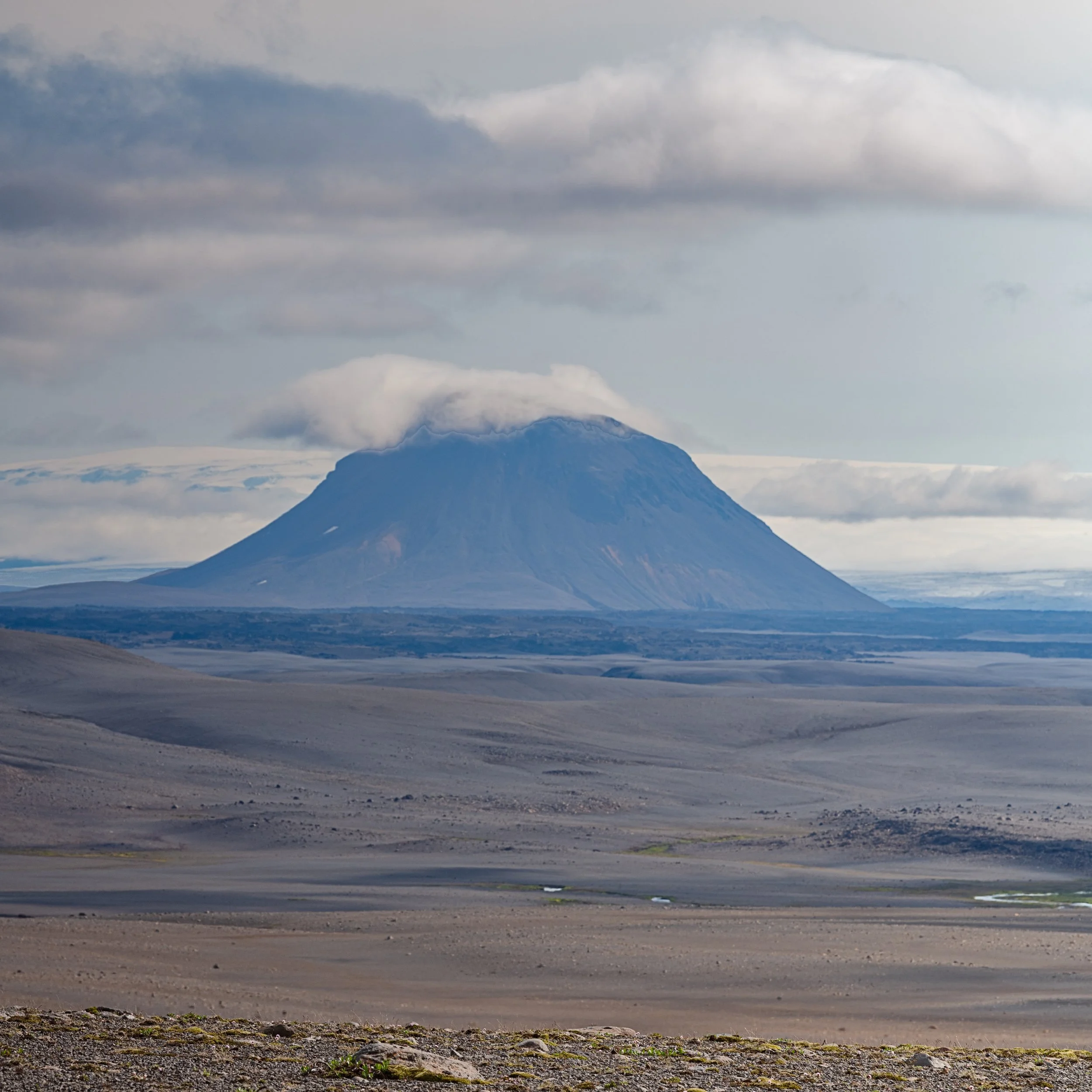 _DSC0993-1__.jpg
