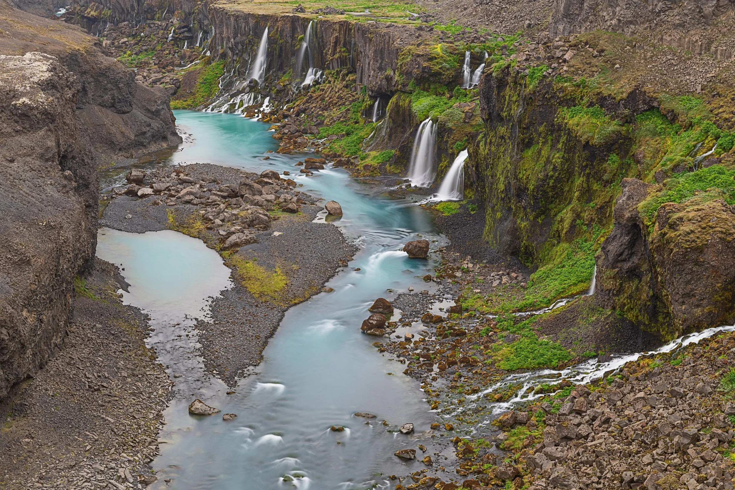 _DSC0981-1_.jpg
