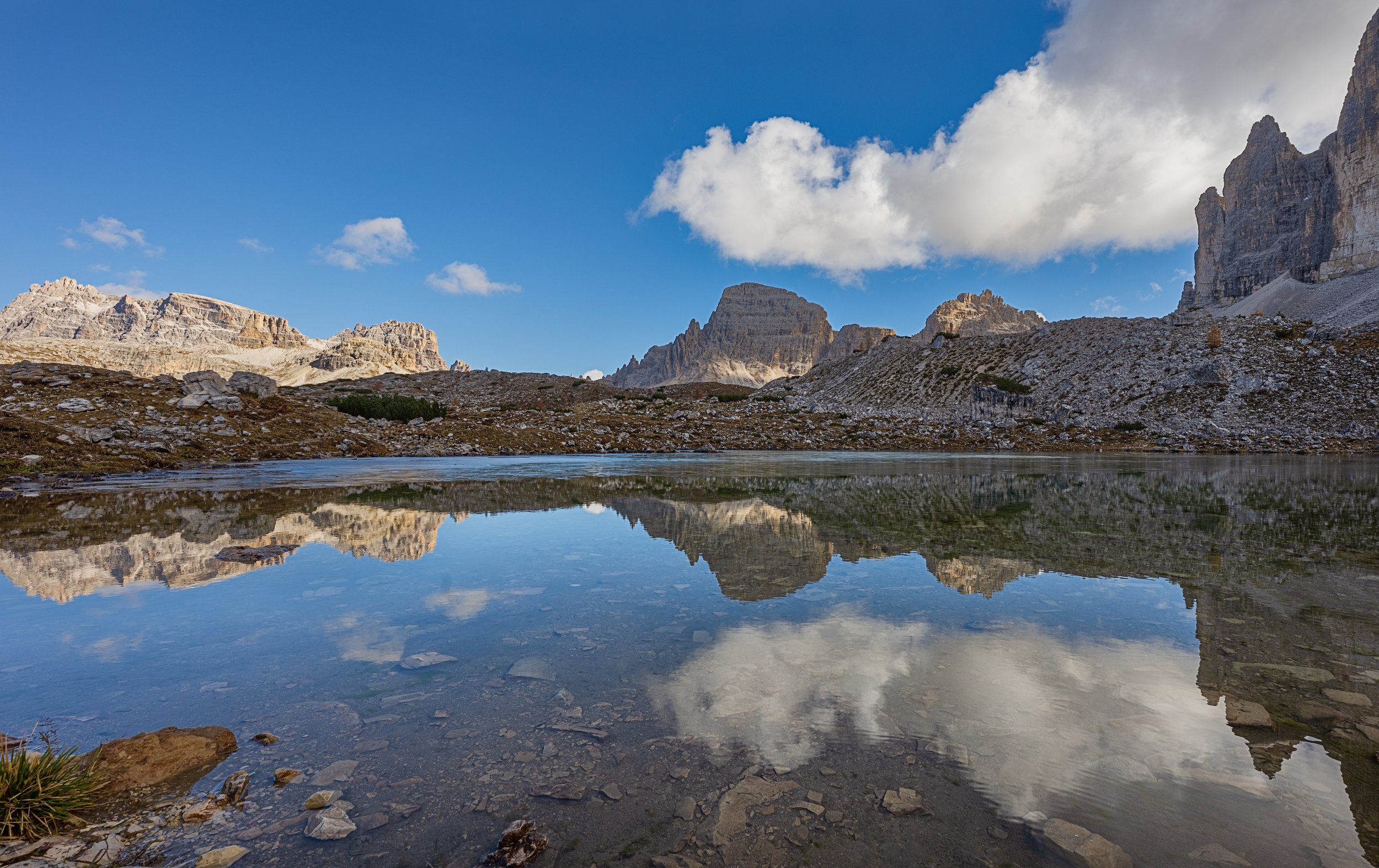 _DSC5686 copy 3_.jpg