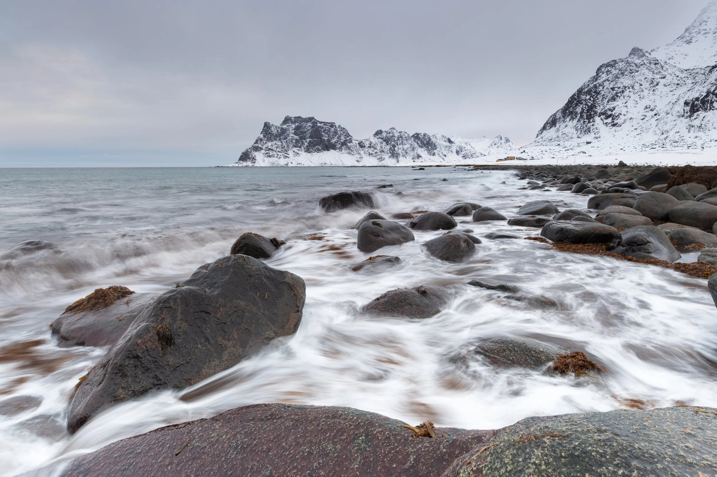 _DSC3160.jpg