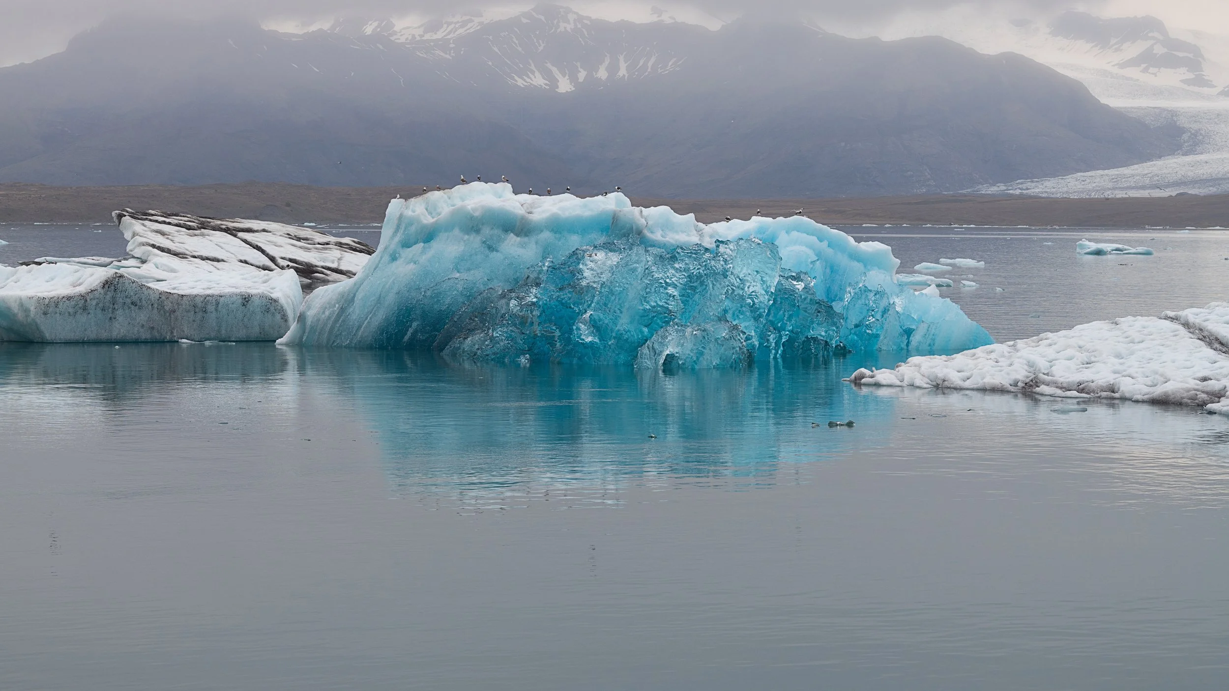 _DSC0346-1_.jpg