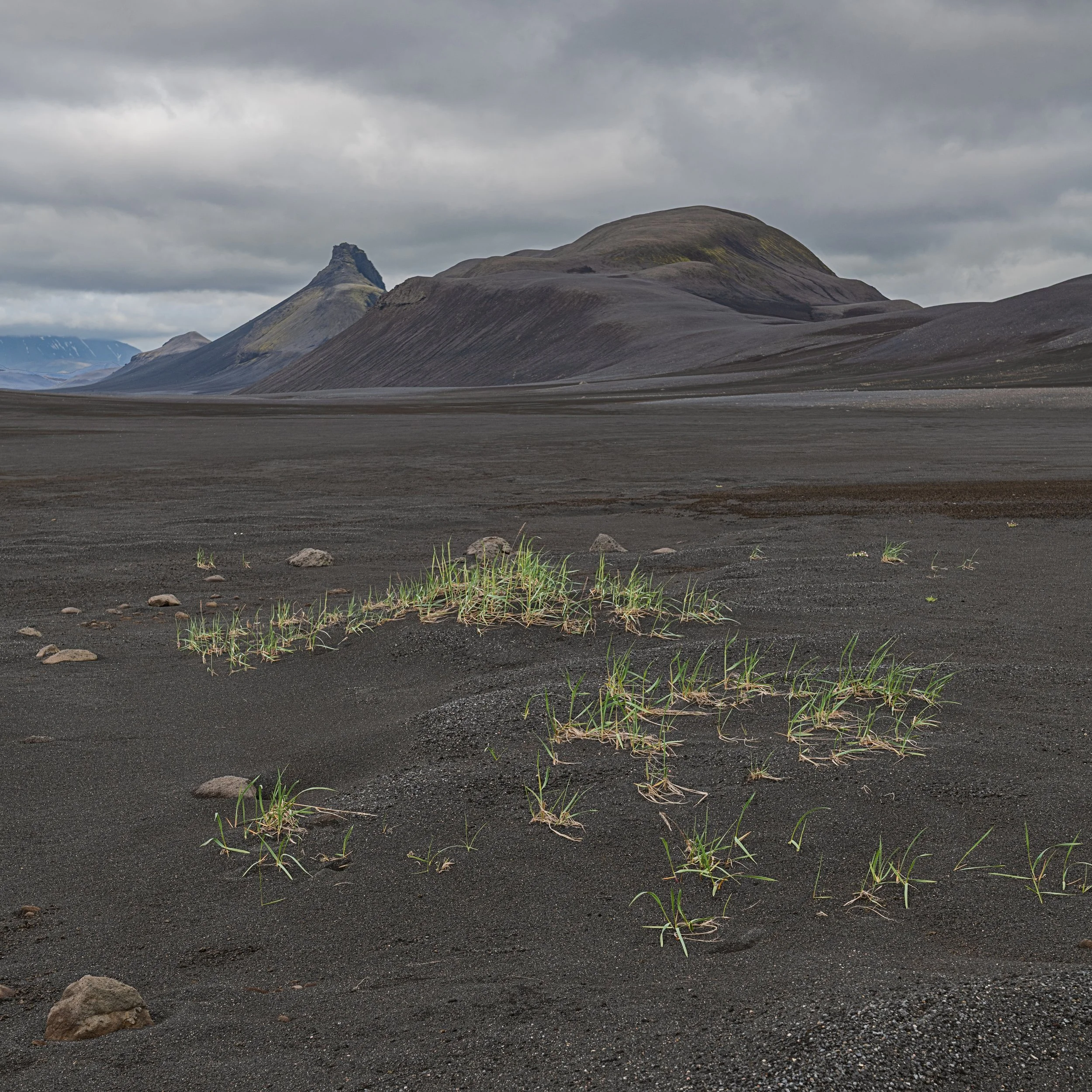 _DSC0906-1_.jpg