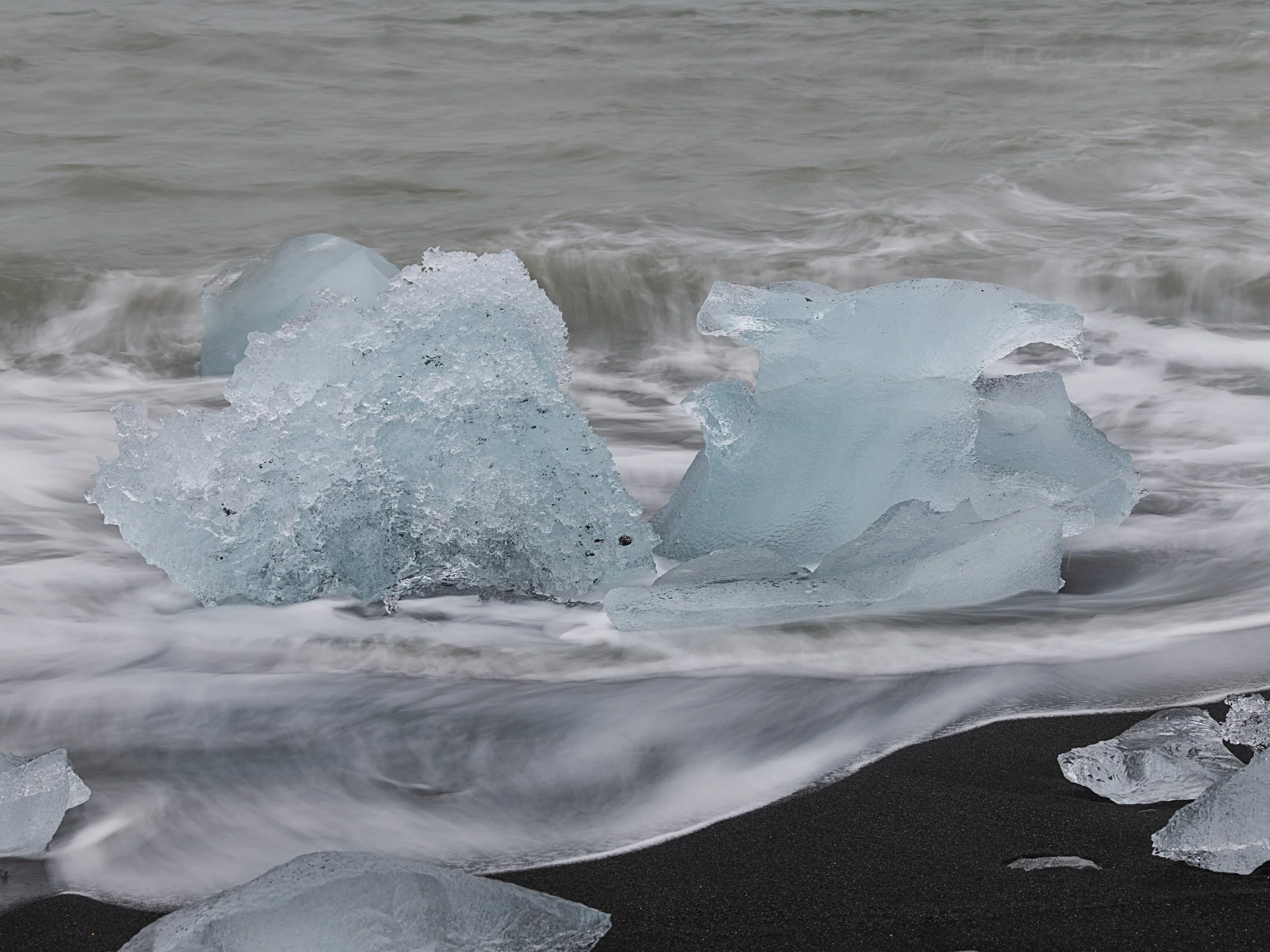 _DSC0377-1_.jpg