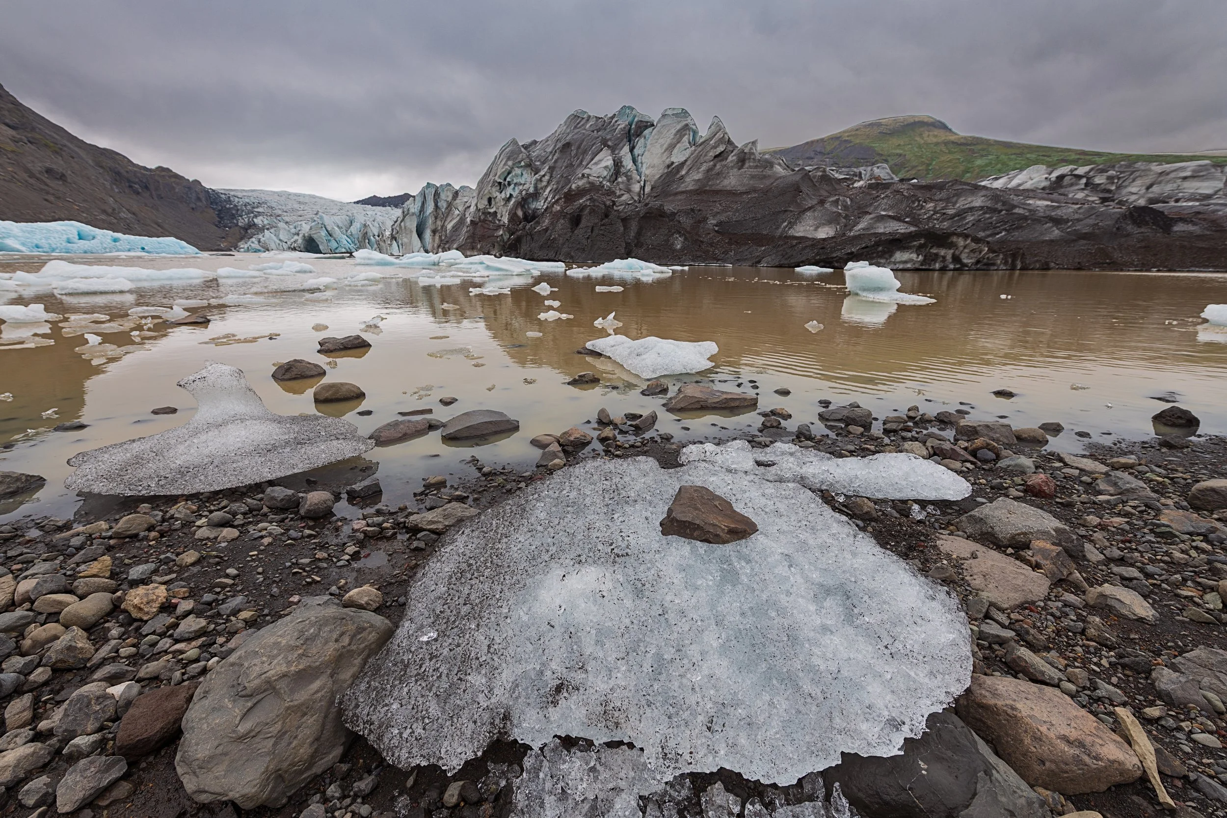 _DSC0306-1_.jpg