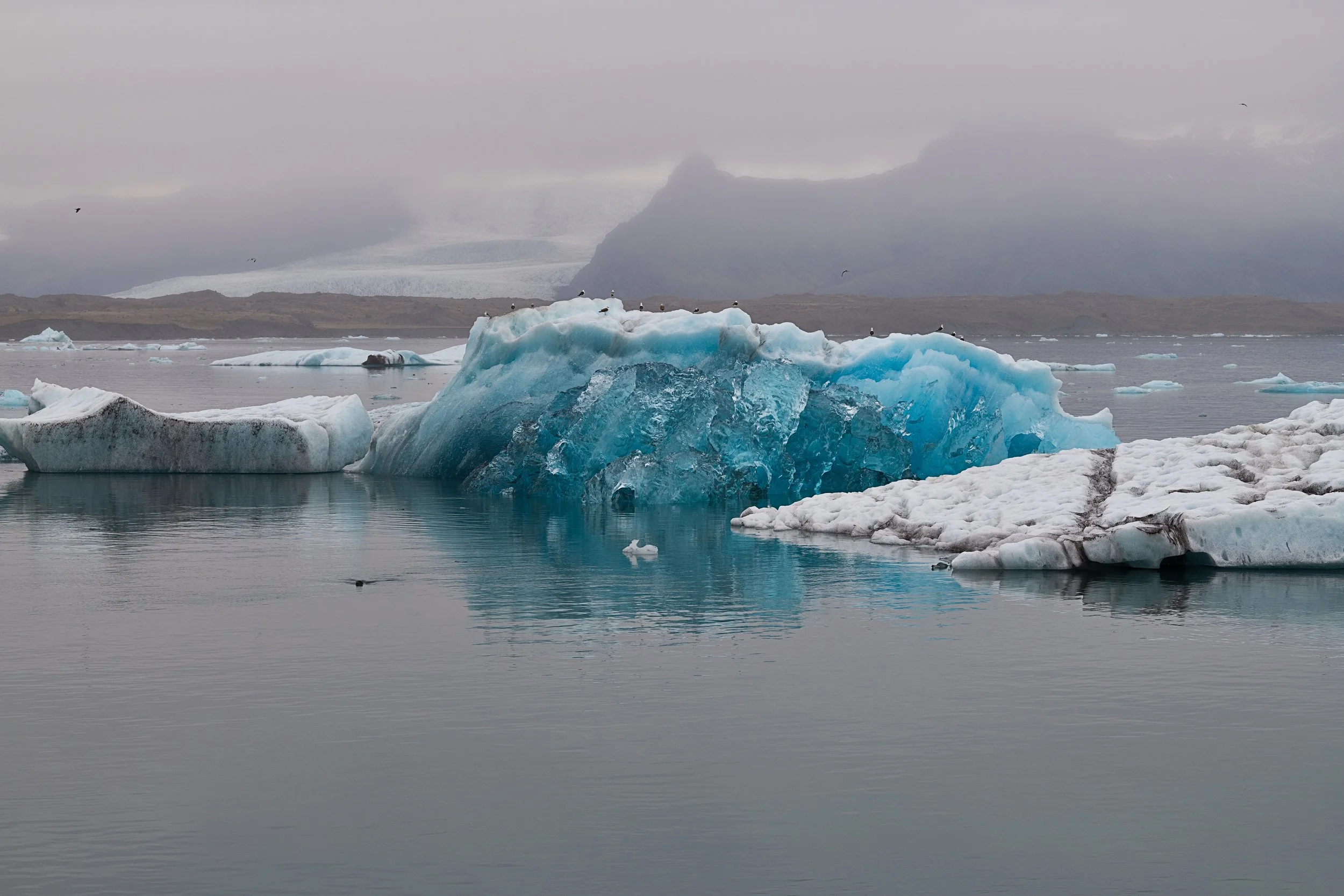_DSC0341-1_.jpg