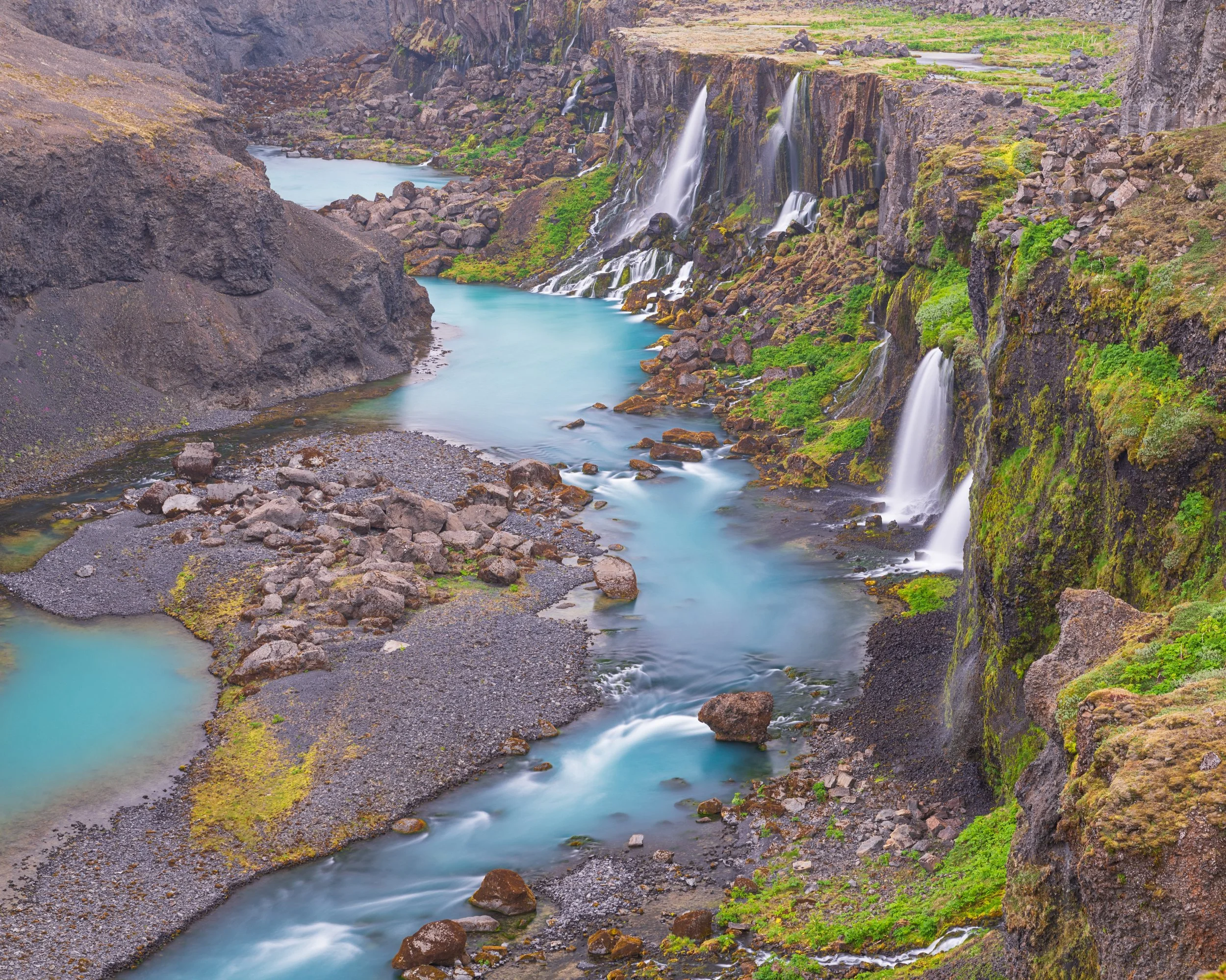 _DSC0971-1_.jpg