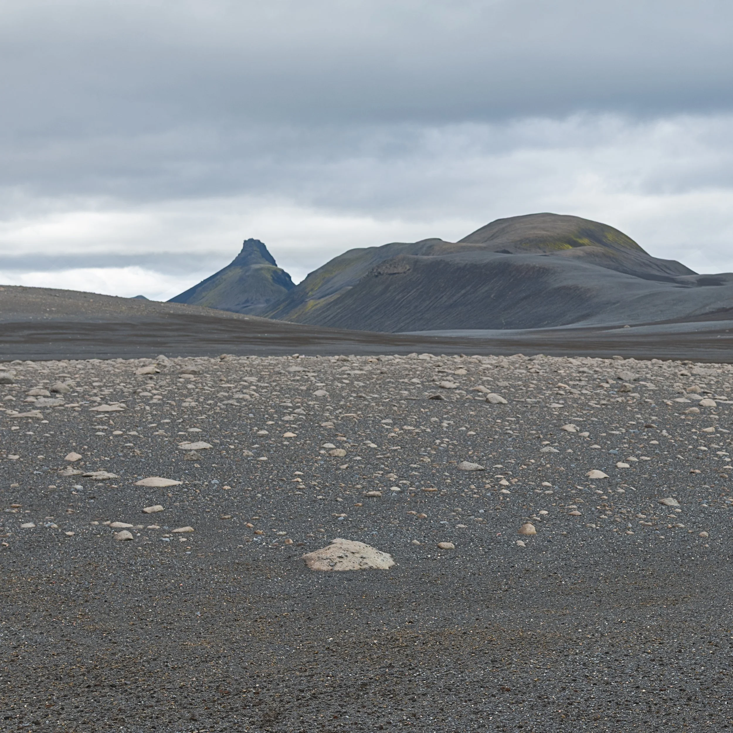 _DSC0873-1___.jpg