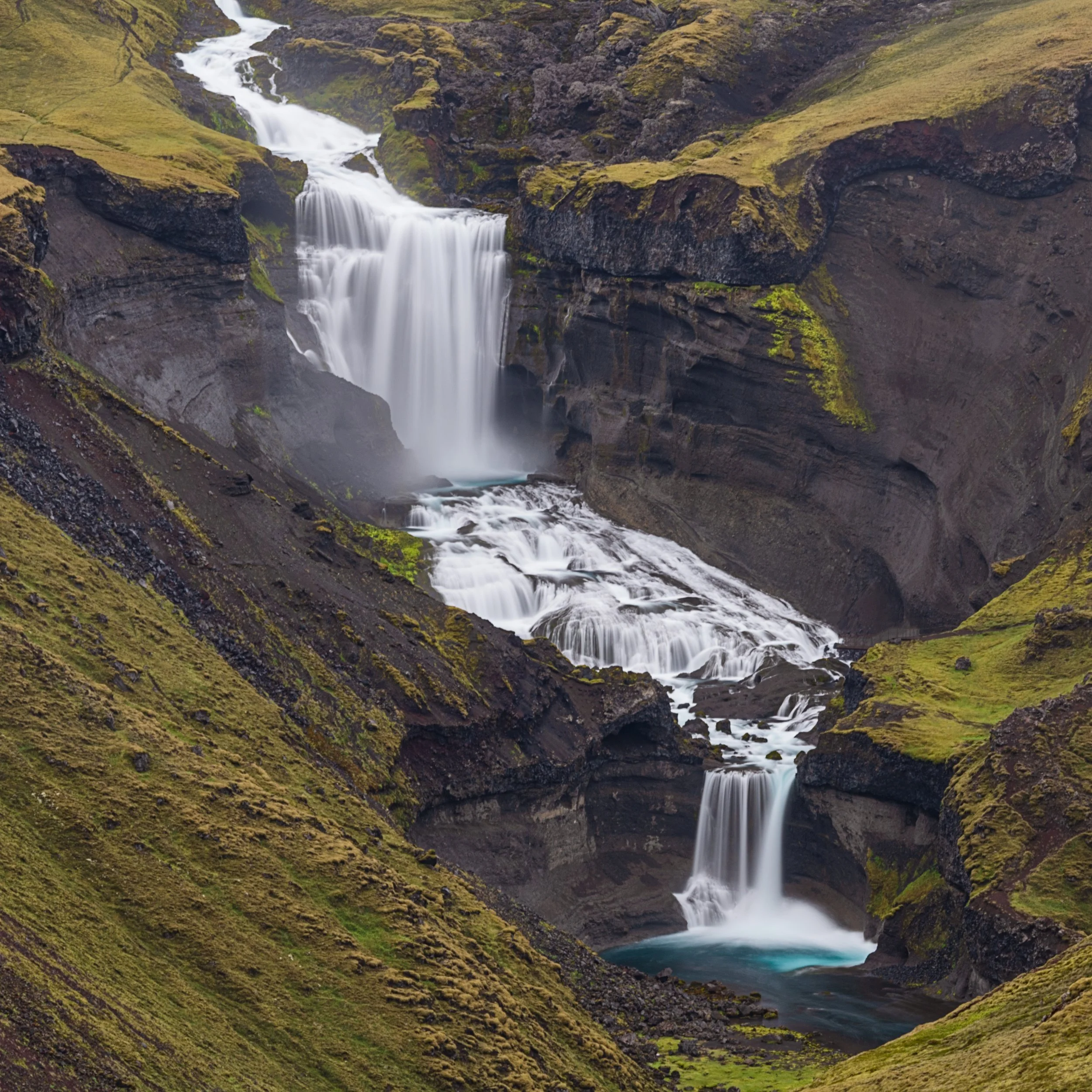 _DSC0532-1___.jpg