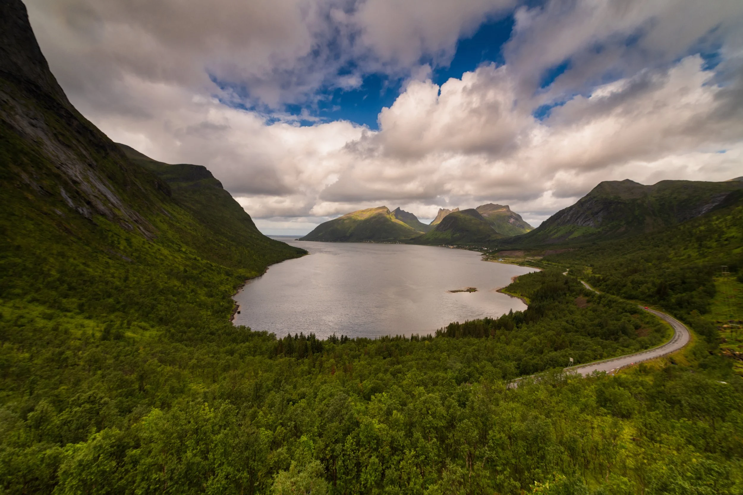 _DSC0445_1.jpg