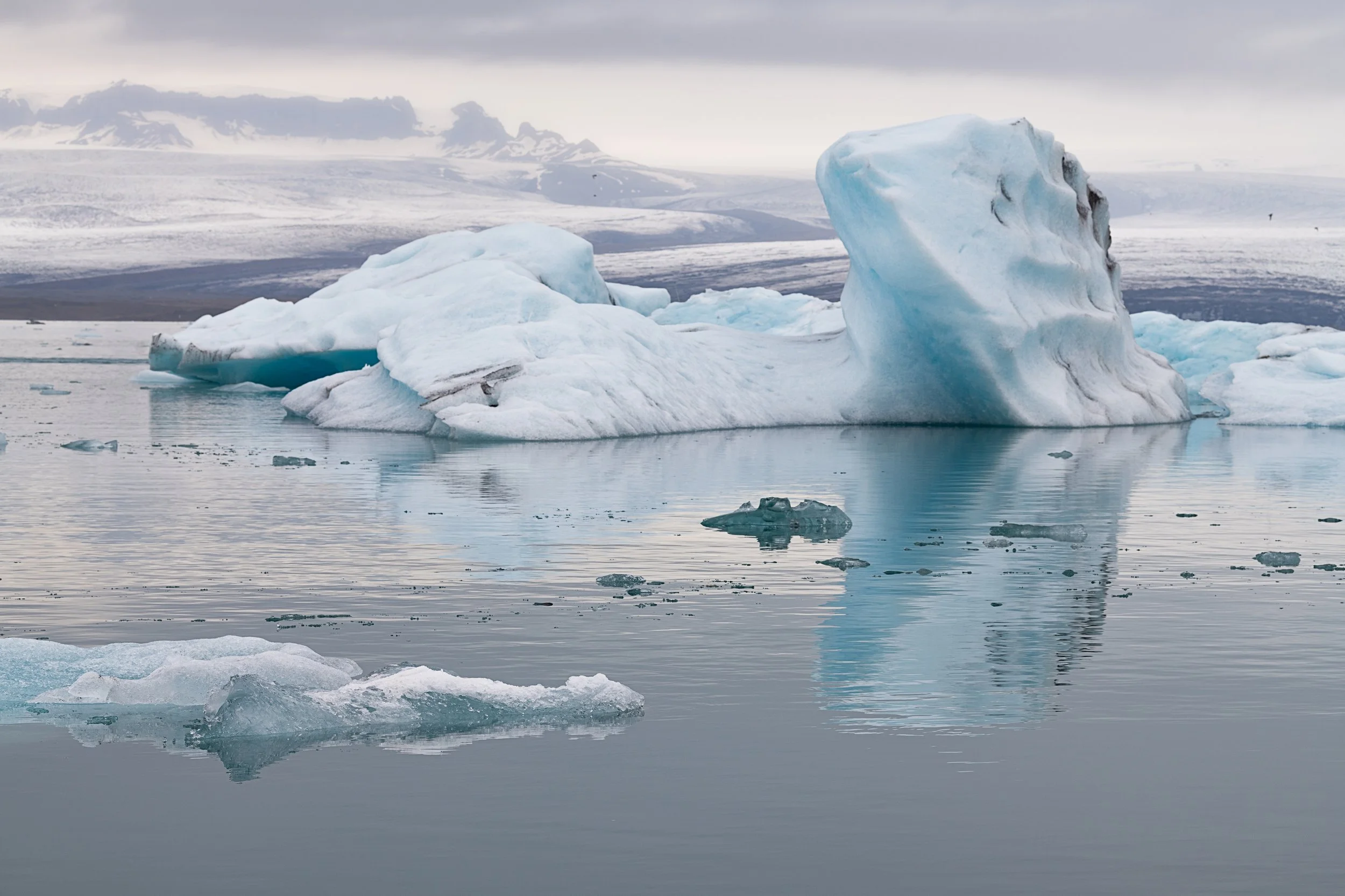 _DSC0351-1_.jpg
