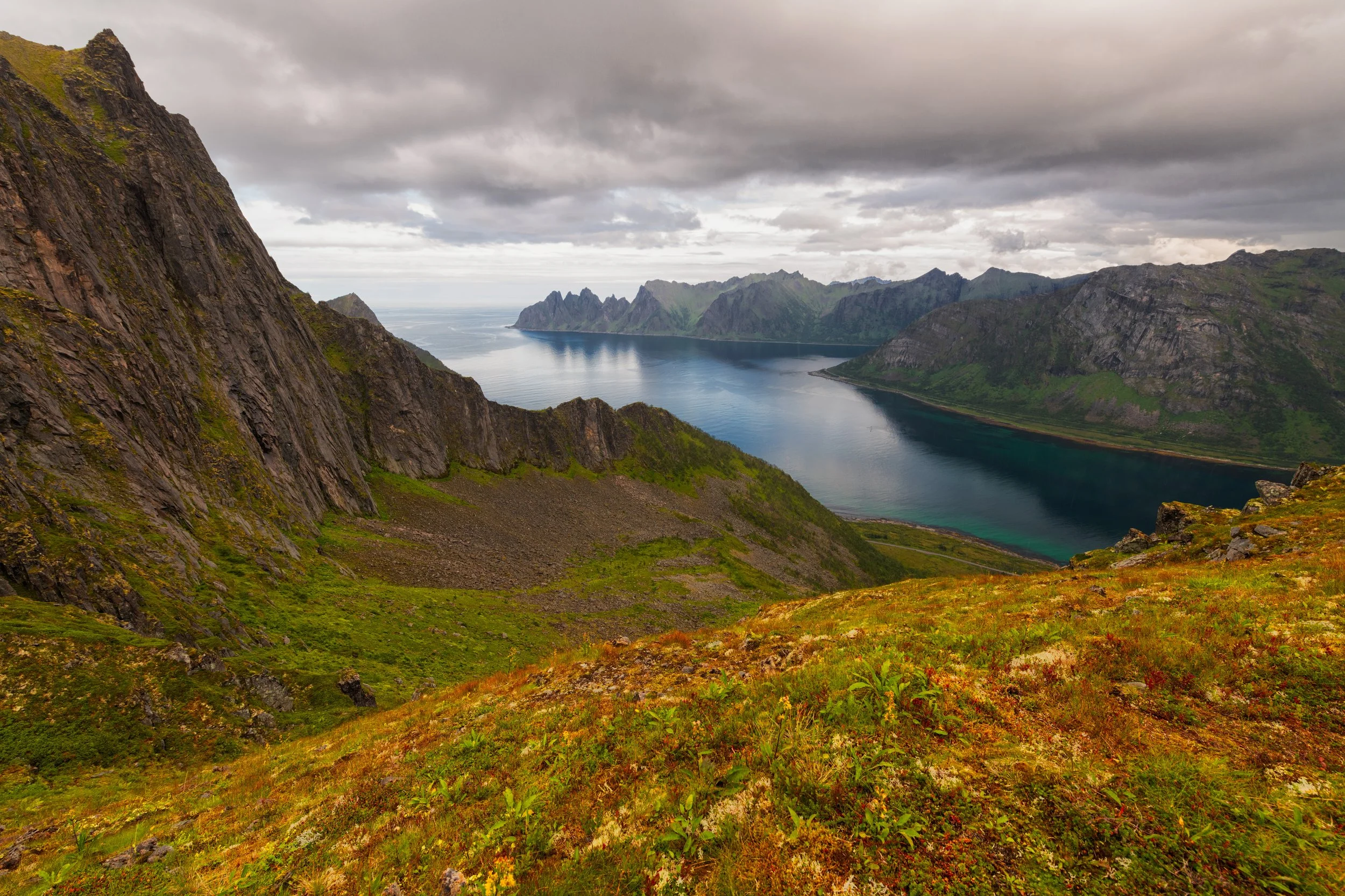 _DSC0301_1.jpg