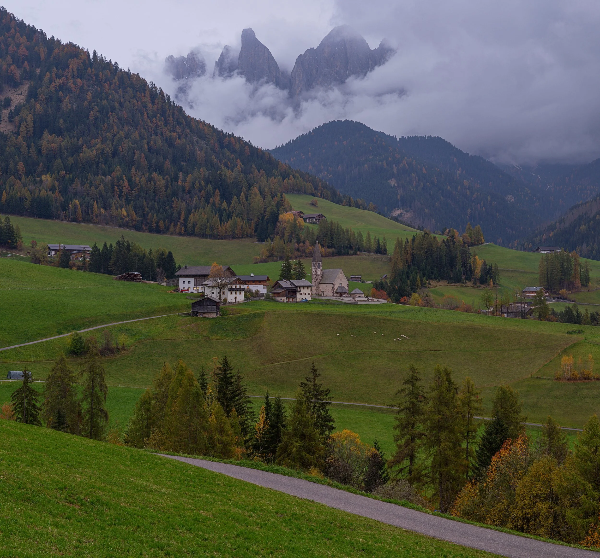 _DSC4377 Panorama_.jpg