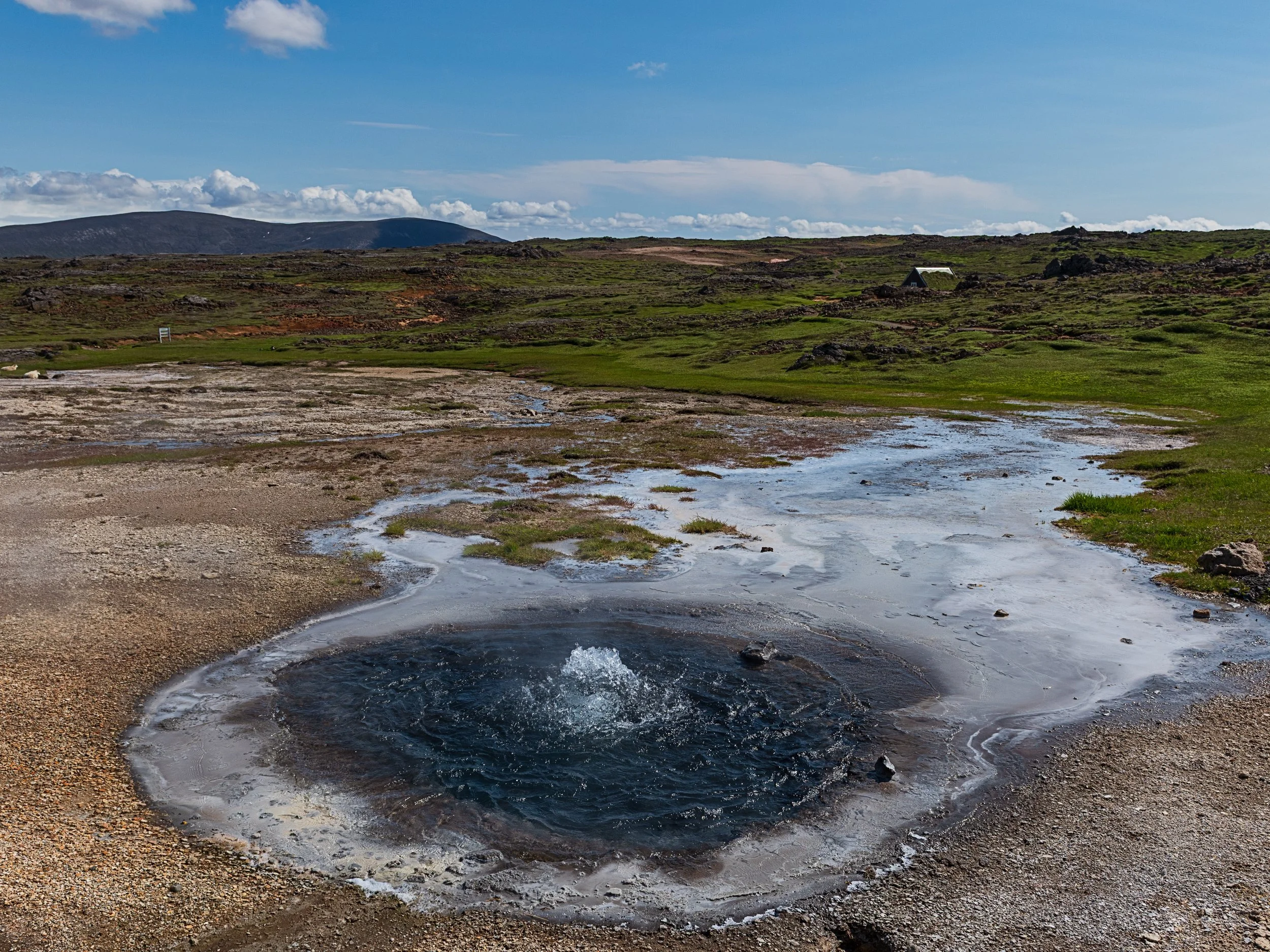 _DSC1447-1_.jpg
