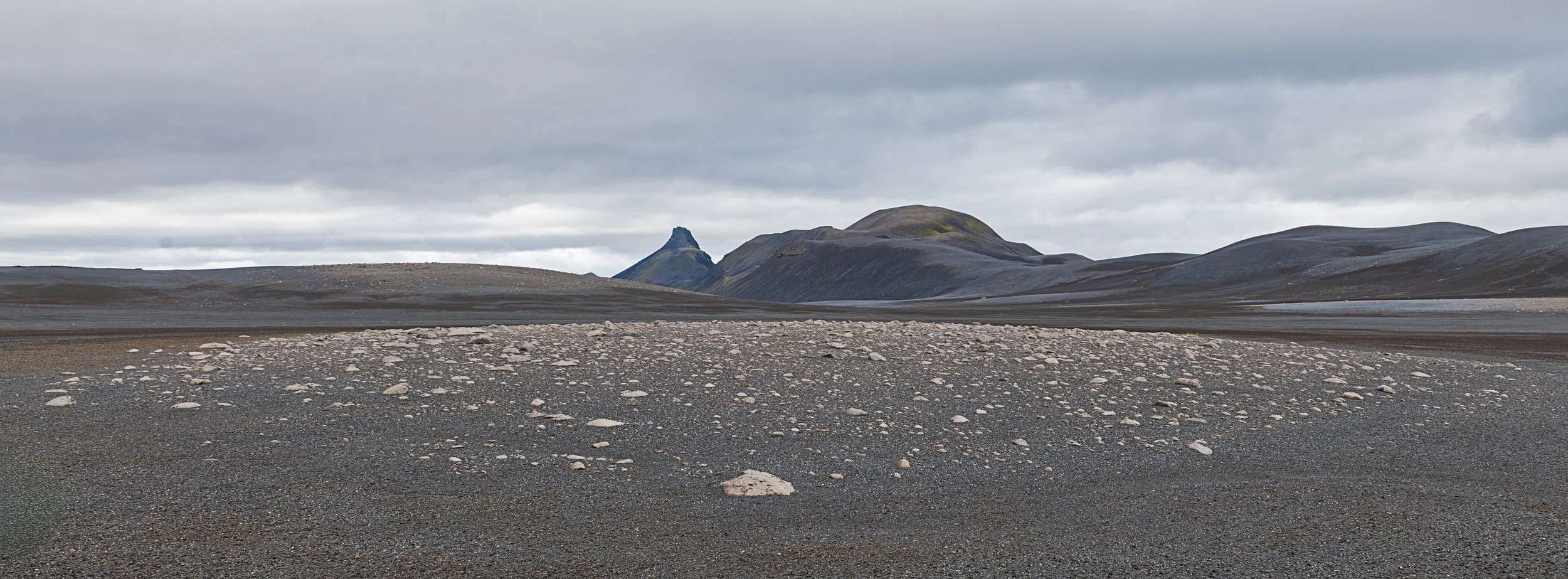 _DSC0875-1_.jpg