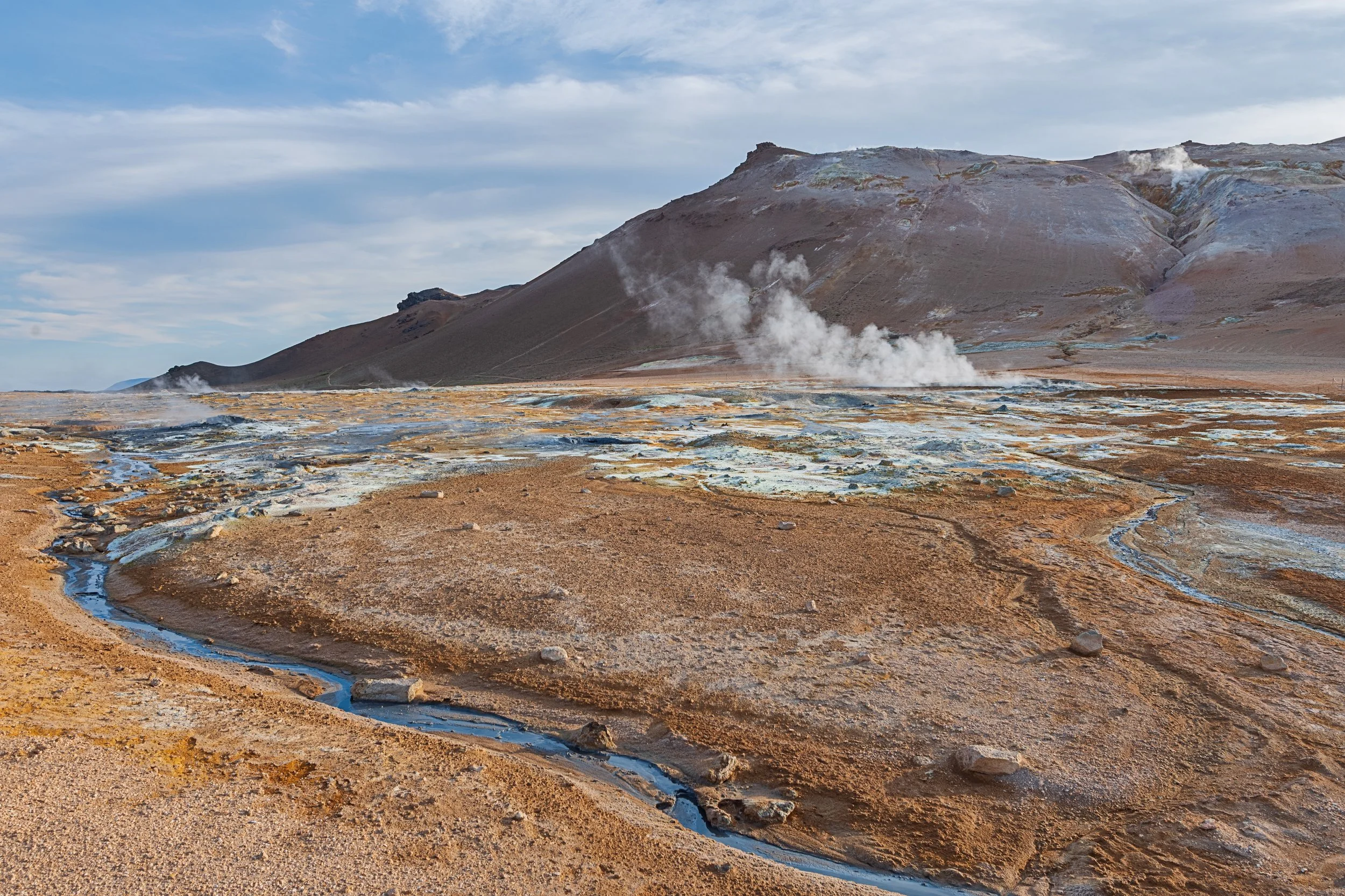 _DSC1217-1_.jpg