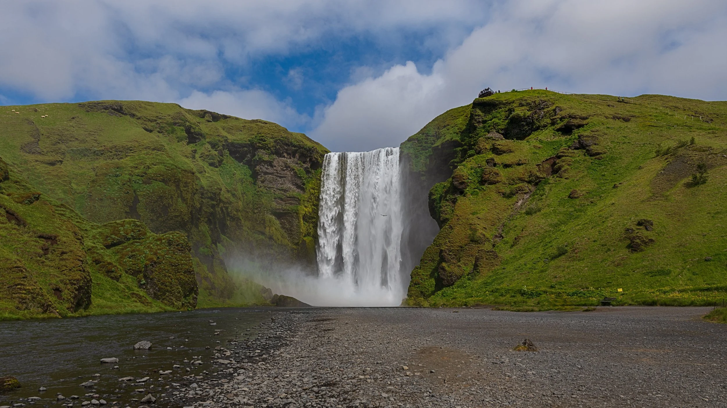_DSC0196_.jpg