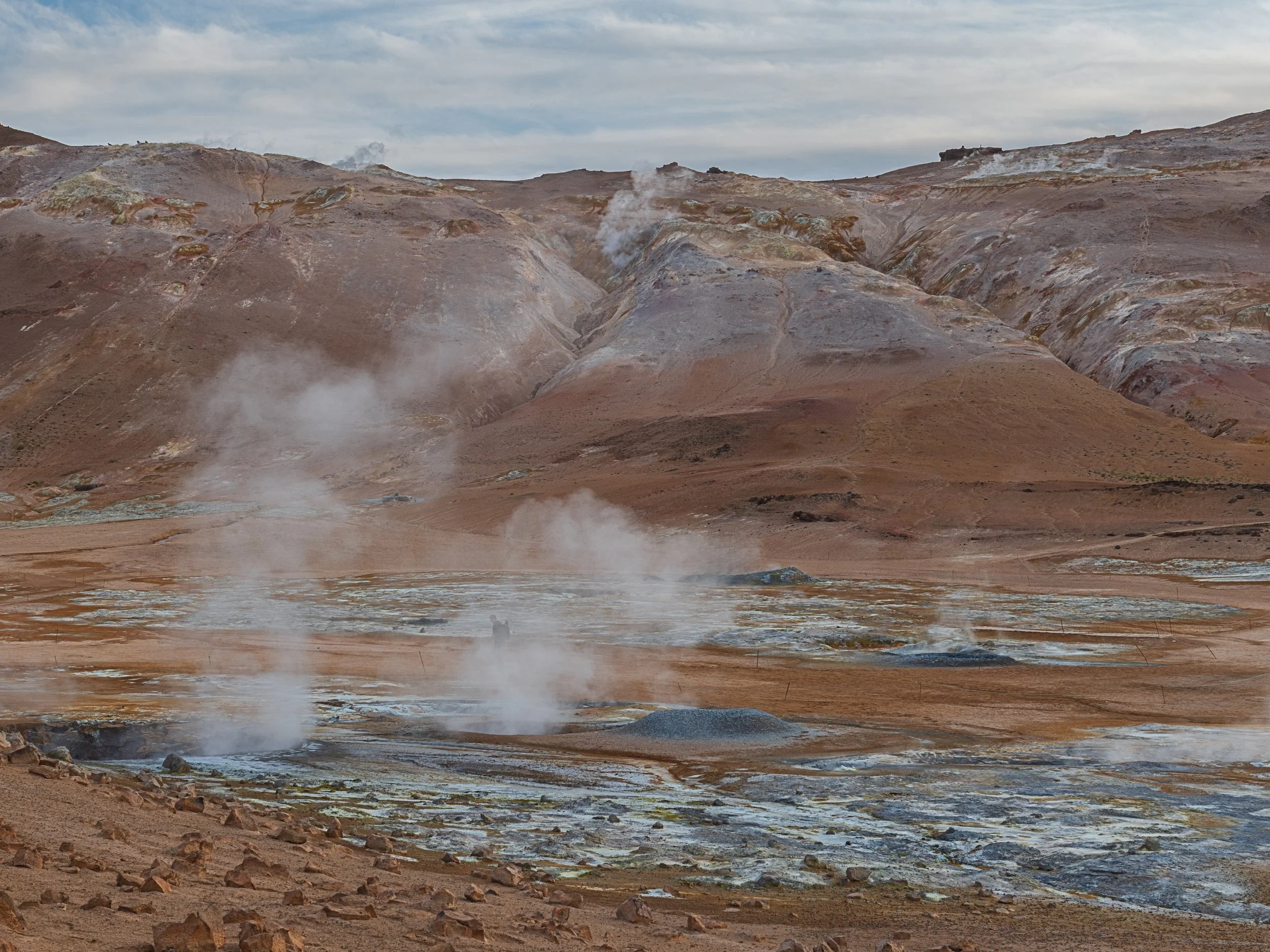 _DSC1248-1__.jpg