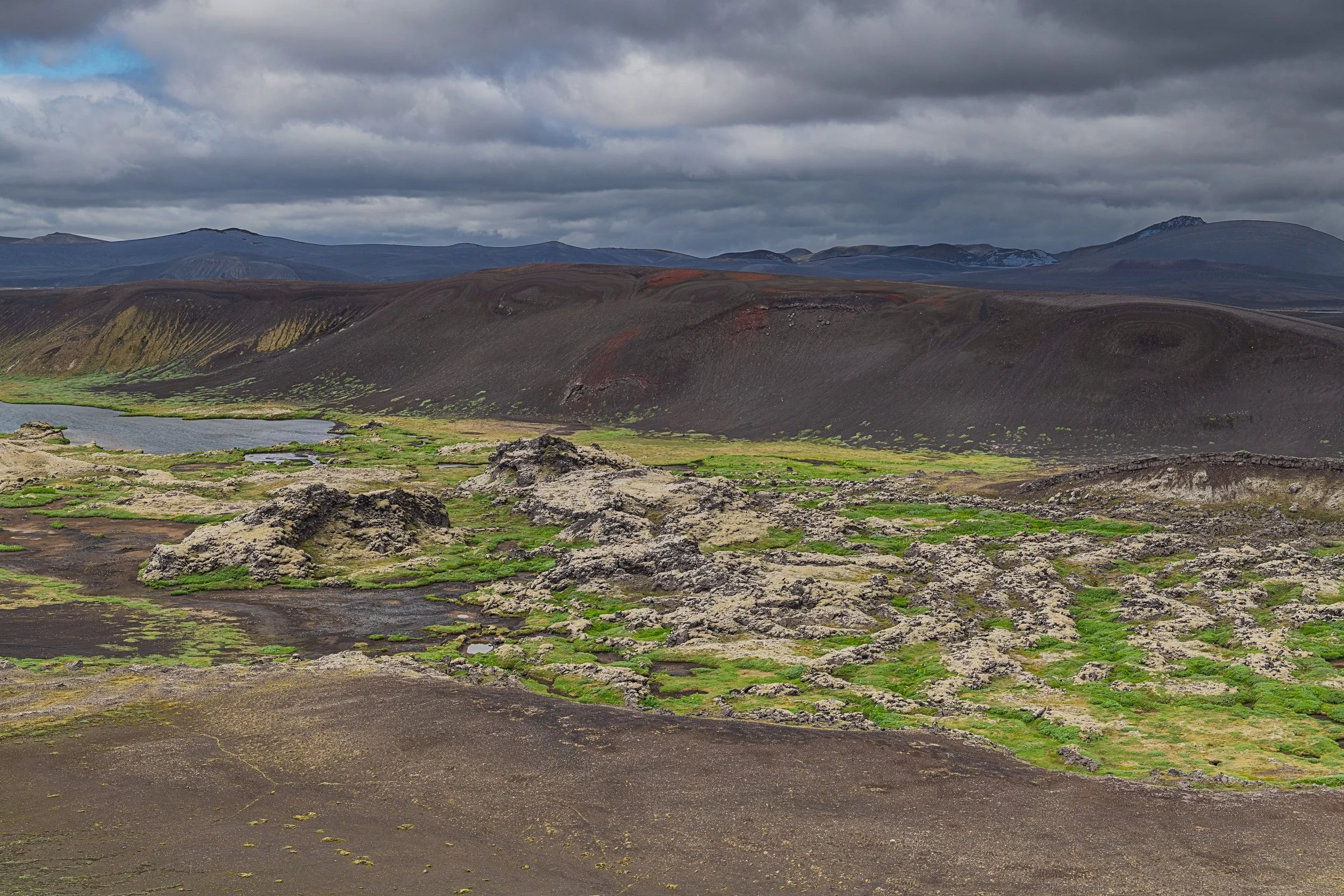_DSC0942-1_.jpg