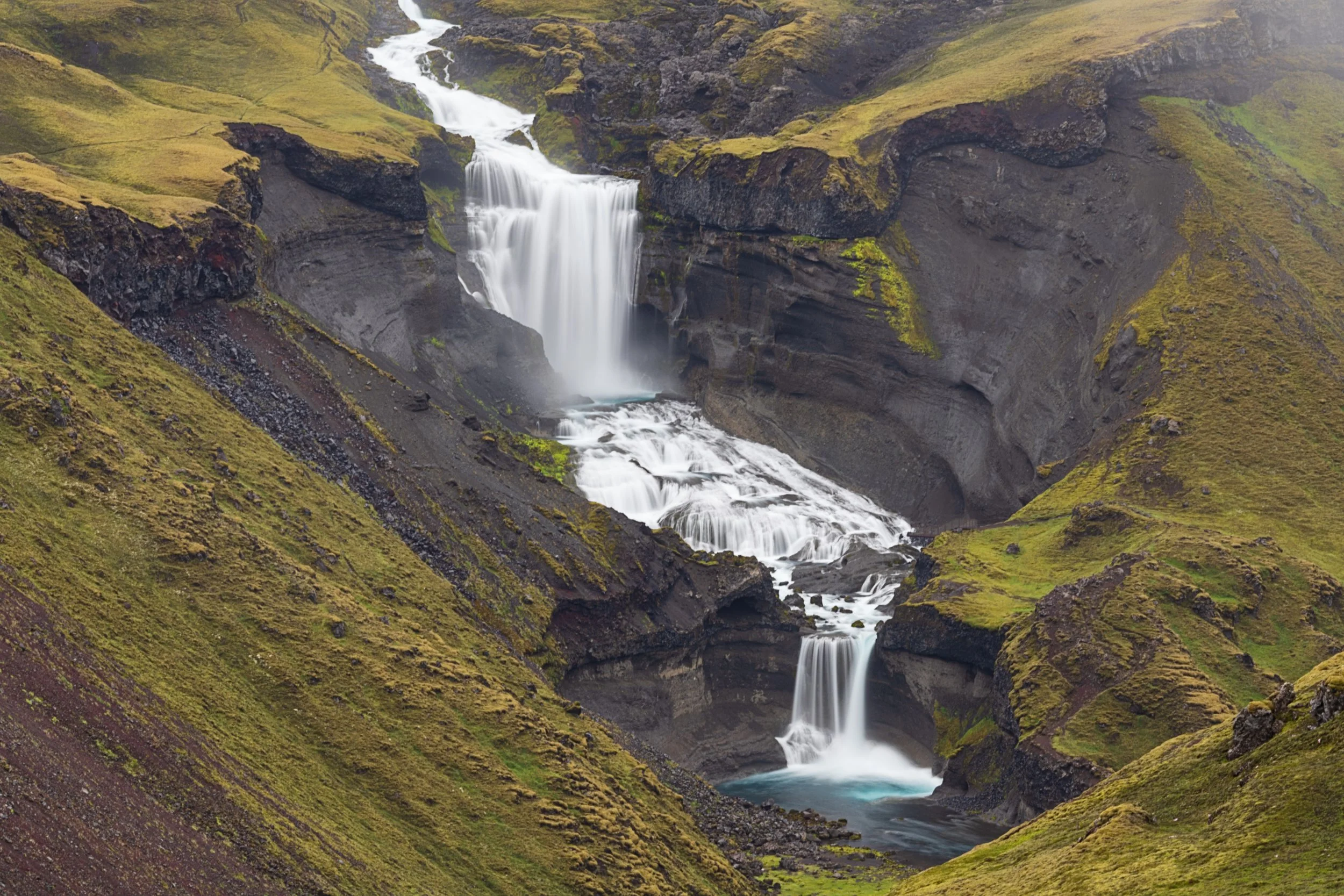 _DSC0530-1_.jpg