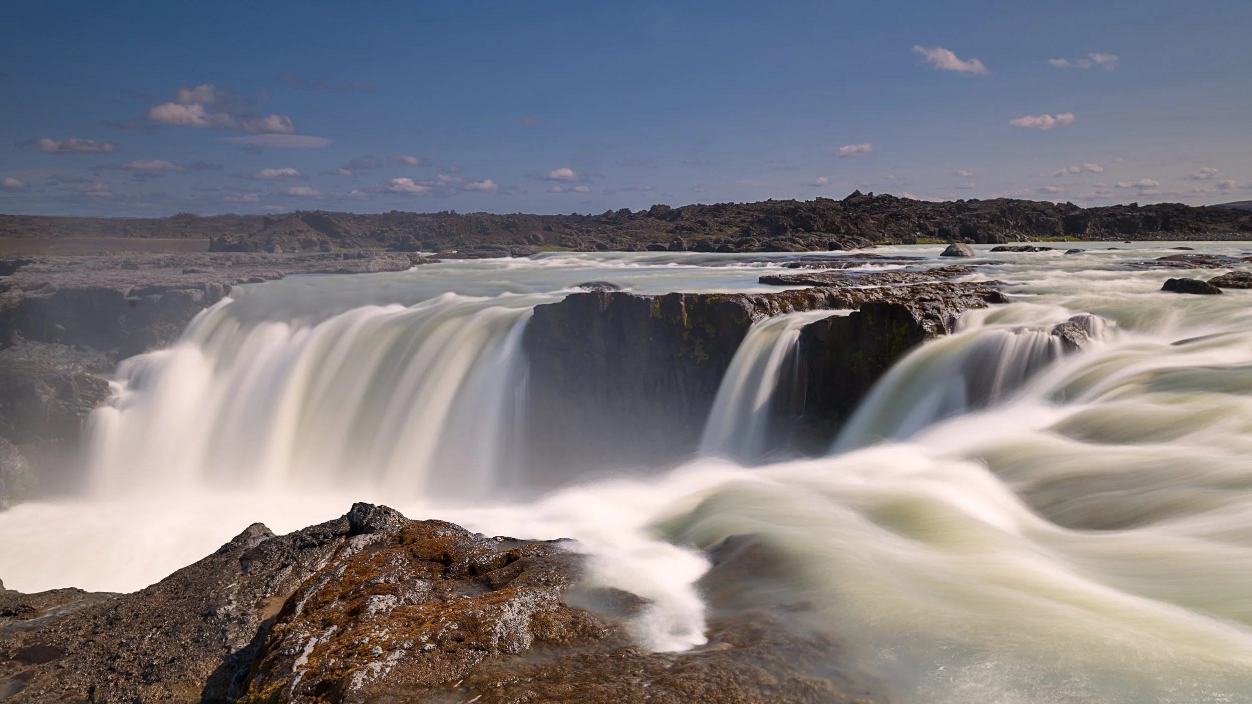 _DSC1003-1__.jpg