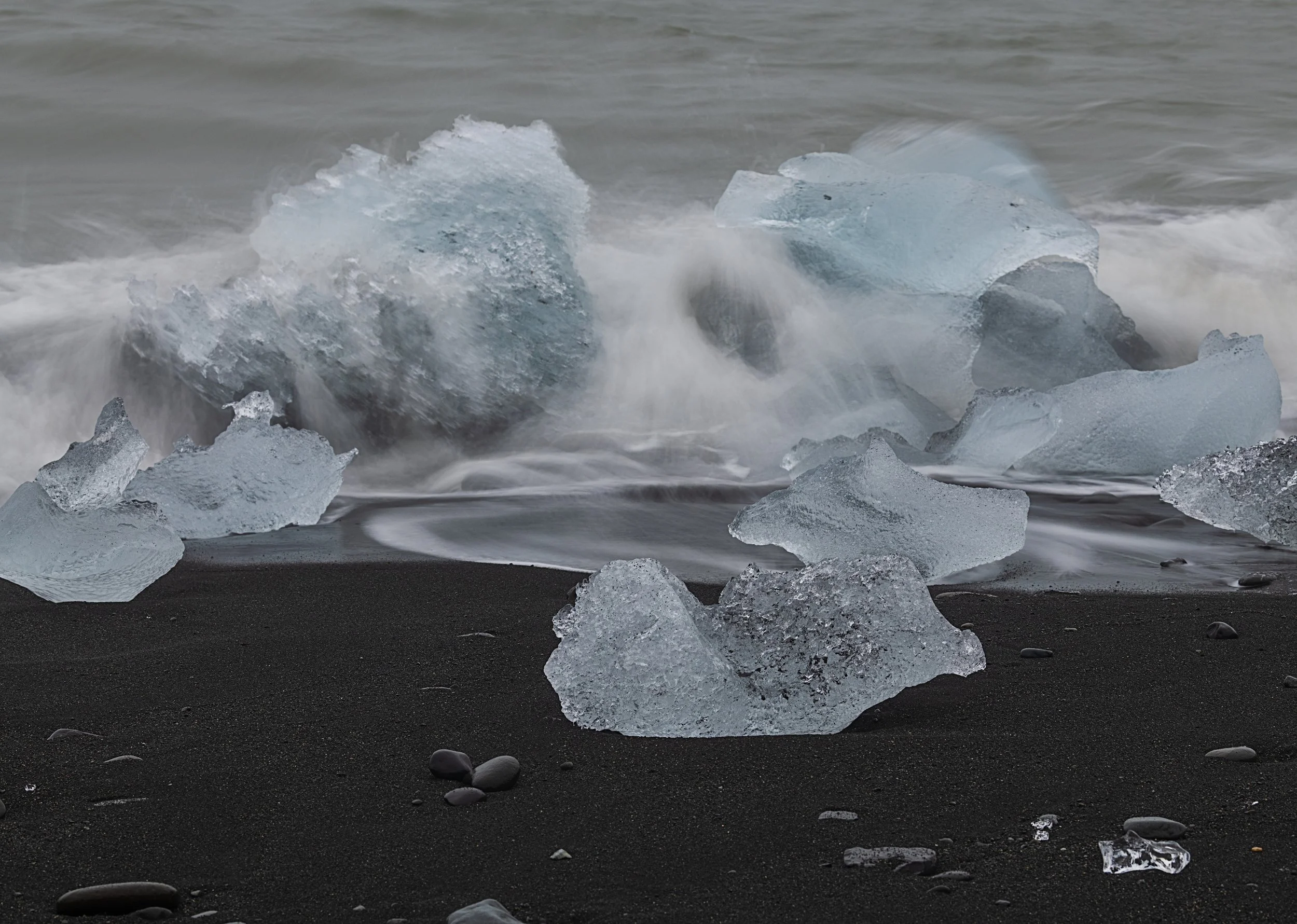 _DSC0378-1_.jpg